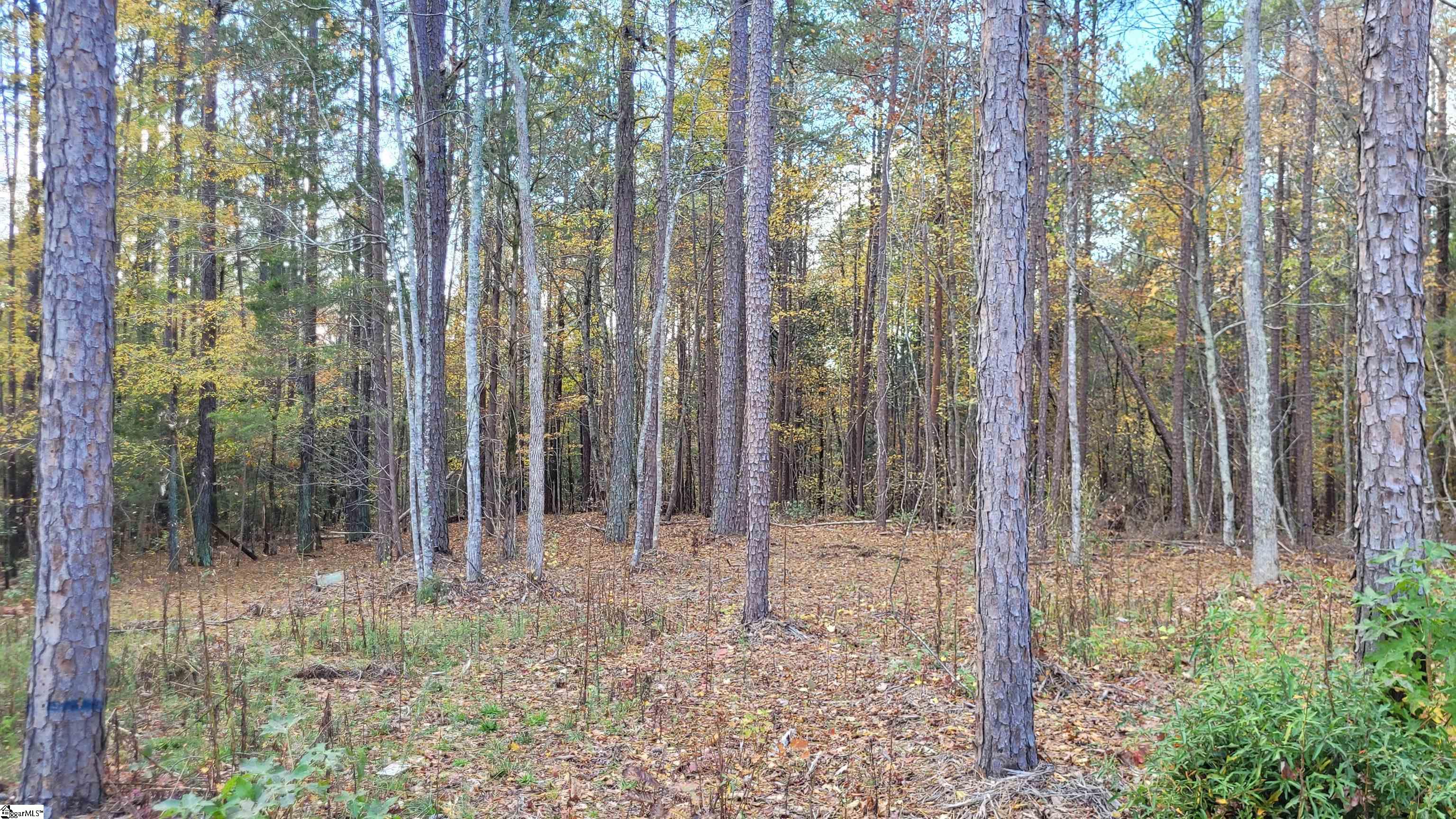 3082 State Rd S-30-82 Laurens, SC 29360 - Photo 8 of 9