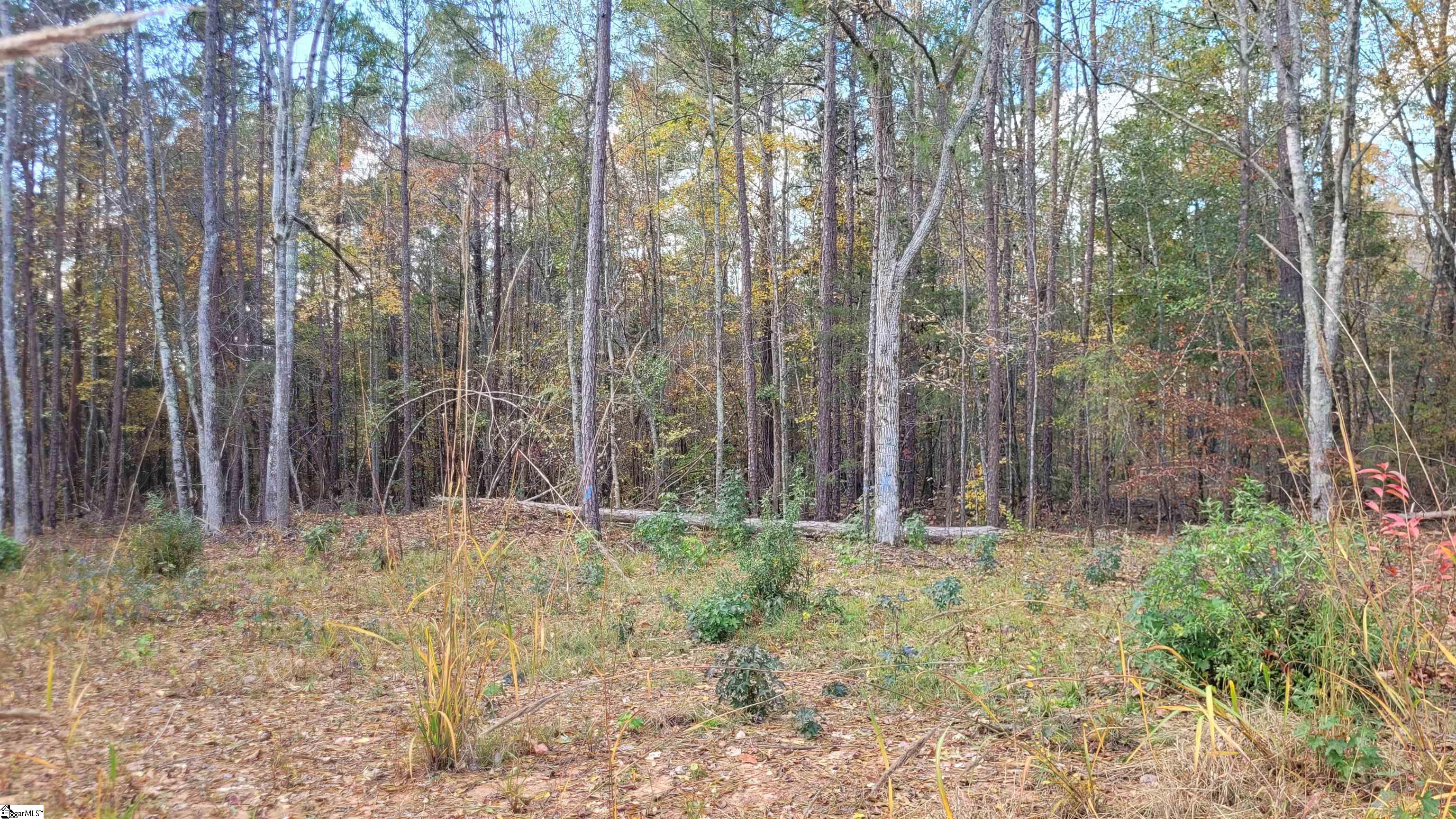 3082 State Rd S-30-82 Laurens, SC 29360 - Photo 9 of 9