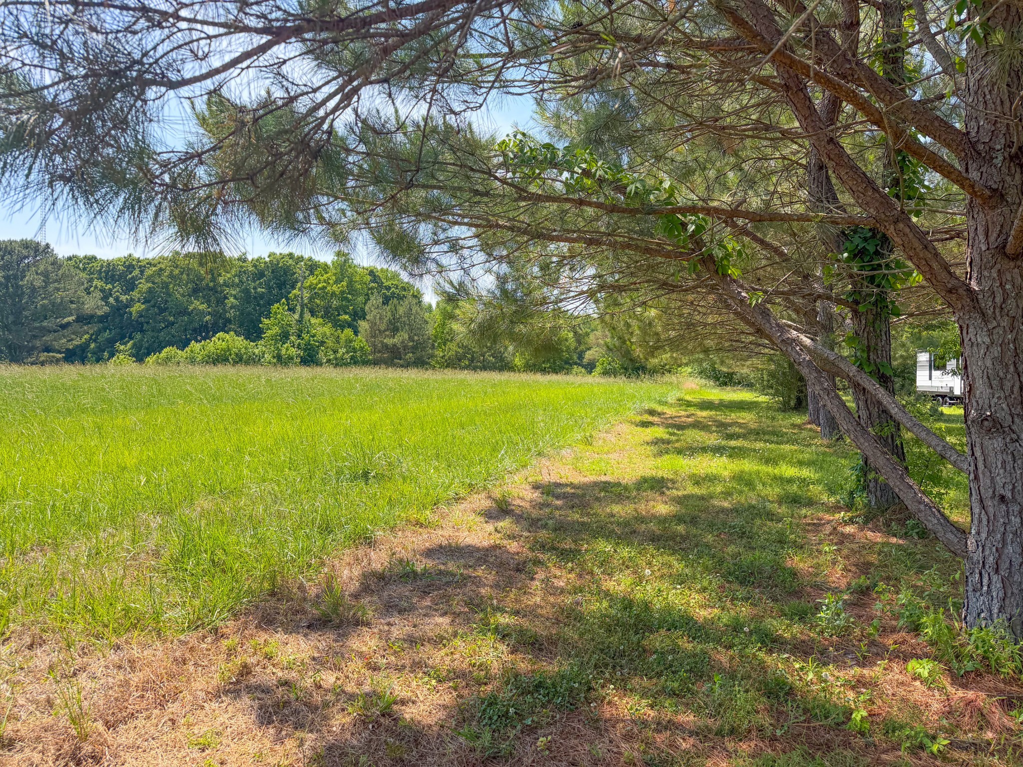 3800 Salem Road Minor Hill, TN 38473 - Photo 47 of 53