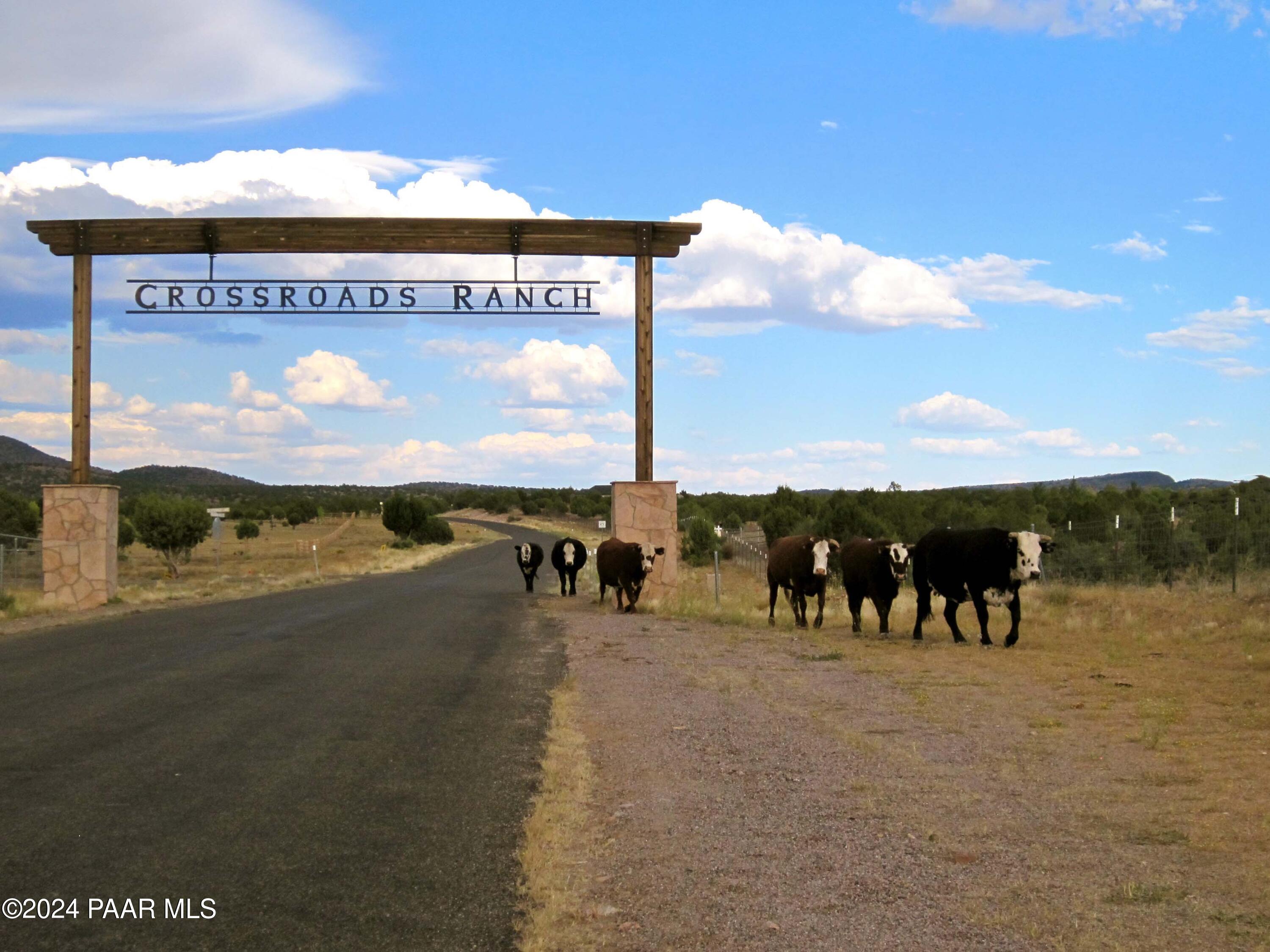 7901 Dillon Wash Road Prescott, AZ 86305 - Photo 4 of 12 Crossroads Ranch II