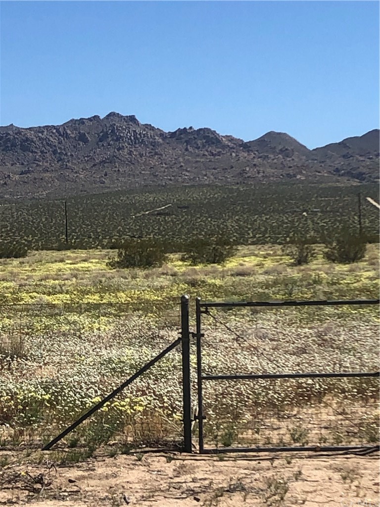 65123 Cobalt Road Joshua Tree, CA 92252 - Photo 25 of 33