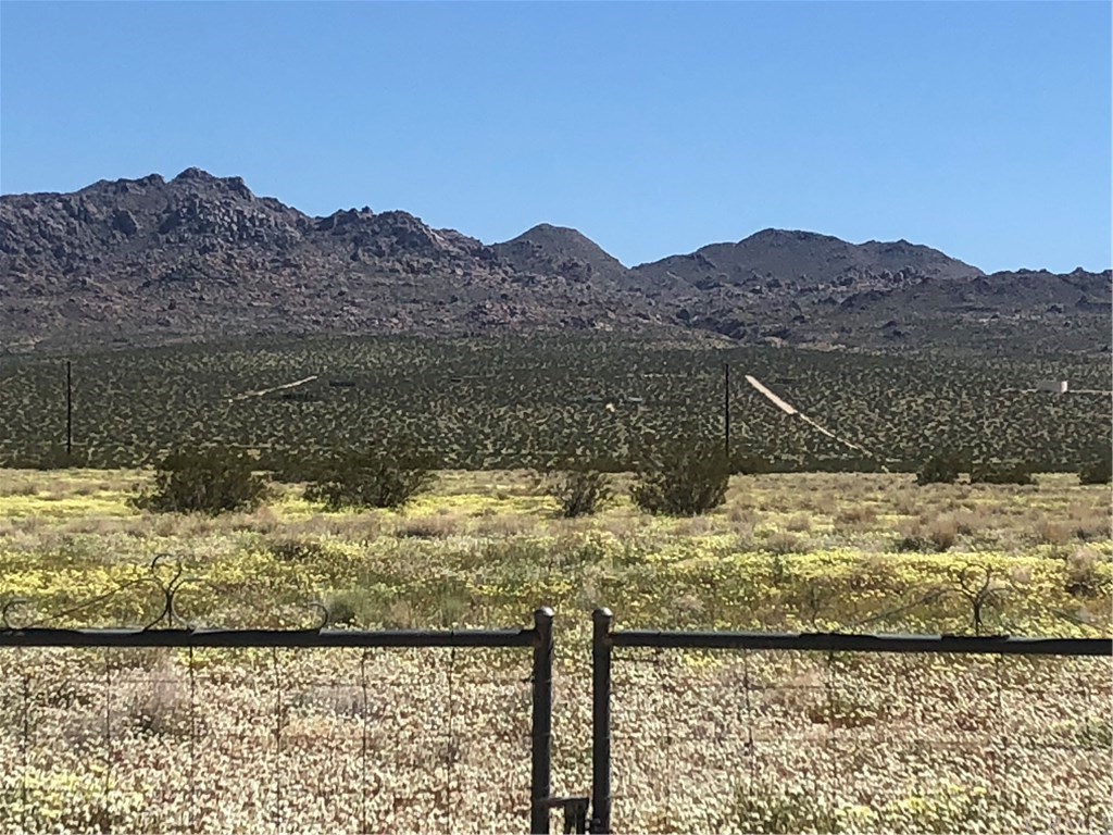 65123 Cobalt Road Joshua Tree, CA 92252 - Photo 26 of 33