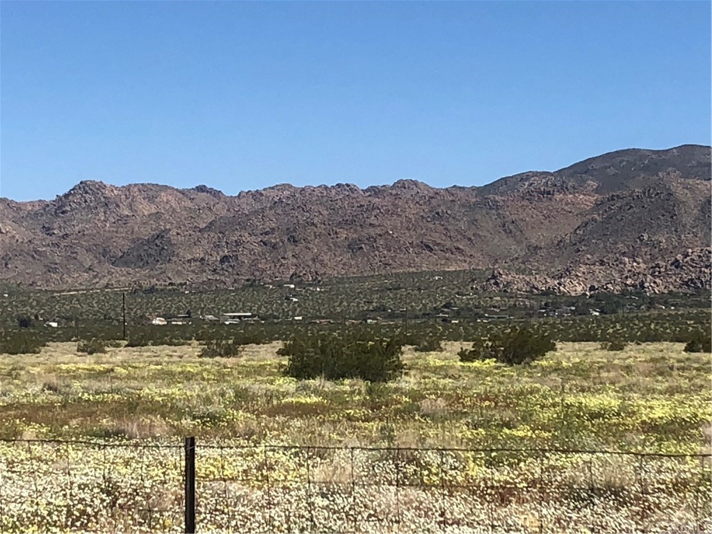 65123 Cobalt Road Joshua Tree, CA 92252 - Photo 27 of 33