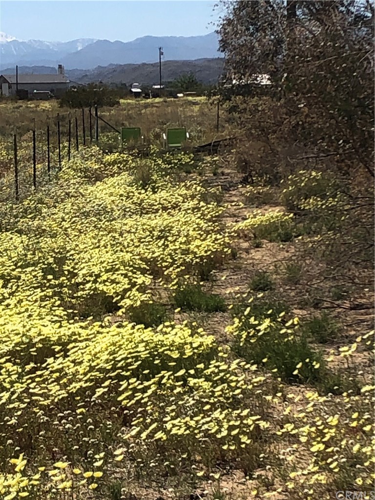 65123 Cobalt Road Joshua Tree, CA 92252 - Photo 28 of 33