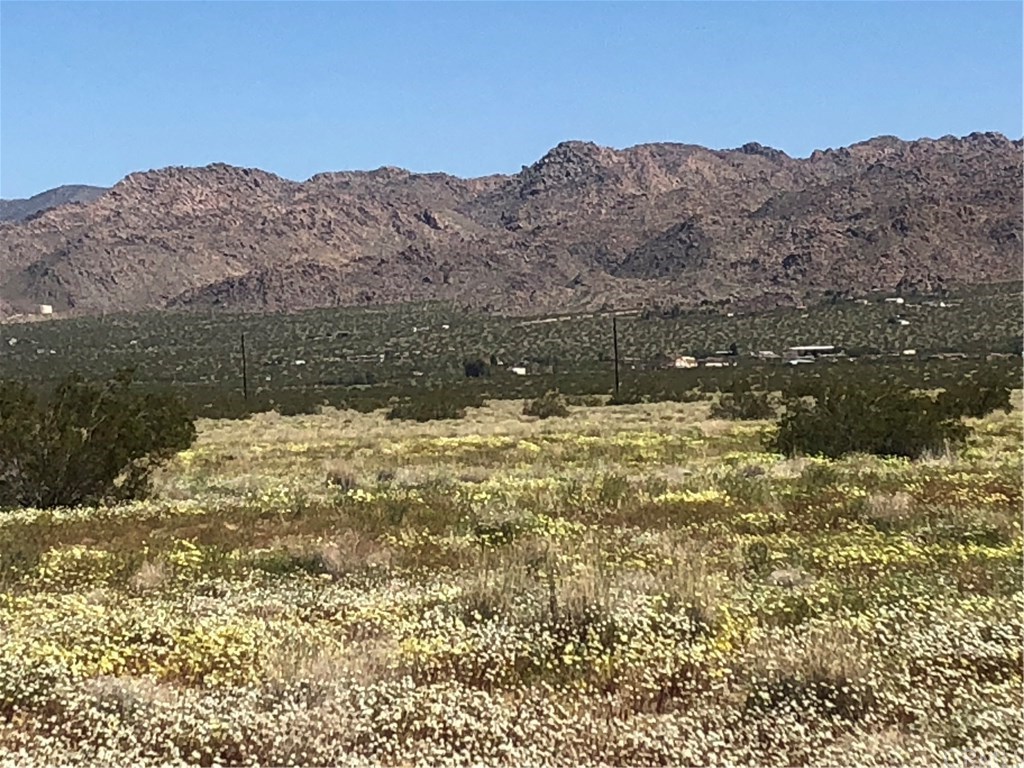 65123 Cobalt Road Joshua Tree, CA 92252 - Photo 30 of 33