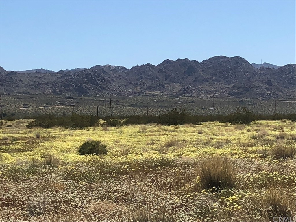 65123 Cobalt Road Joshua Tree, CA 92252 - Photo 6 of 33