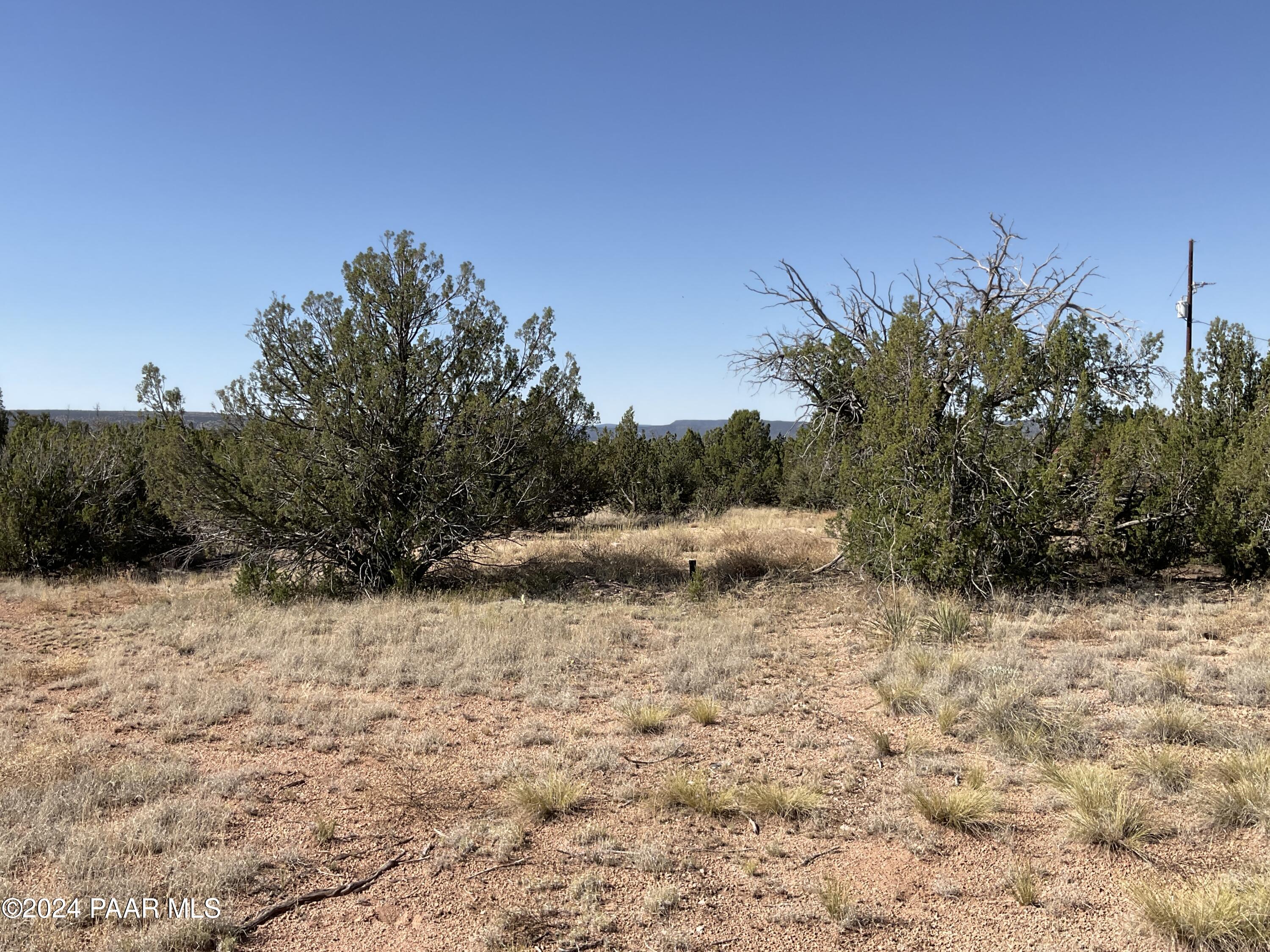 26797 Fort Rock Road Seligman, AZ 86337 - Photo 2 of 9 land