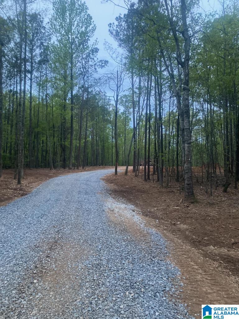 6101 Highway 145 Clanton, AL 35046 - Photo 3 of 6