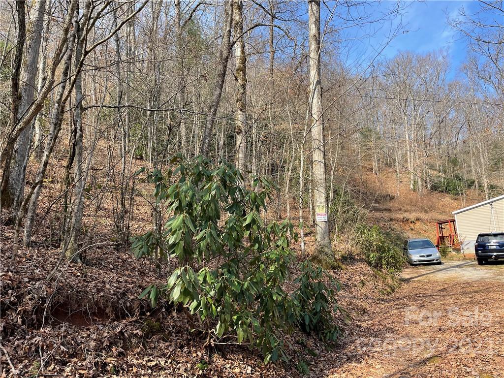 546 Battle Branch Road Franklin, NC 28734 - Photo 23 of 37 Gallery Image 23