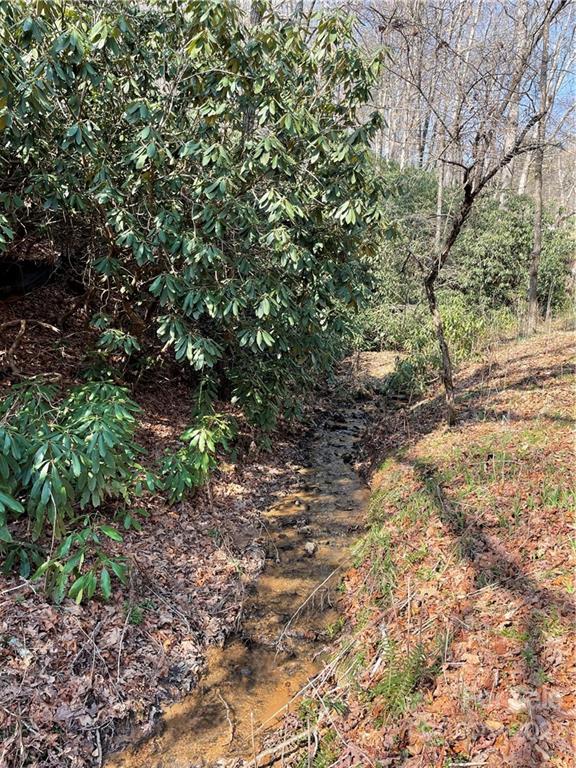 546 Battle Branch Road Franklin, NC 28734 - Photo 25 of 37 Gallery Image 25