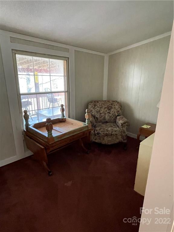 546 Battle Branch Road Franklin, NC 28734 - Photo 26 of 37 Gallery Image 26