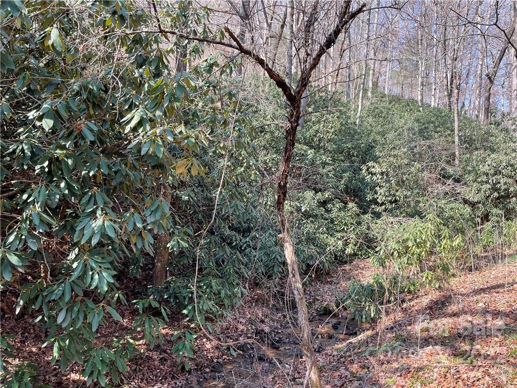 546 Battle Branch Road Franklin, NC 28734 - Photo 33 of 37 Gallery Image 33