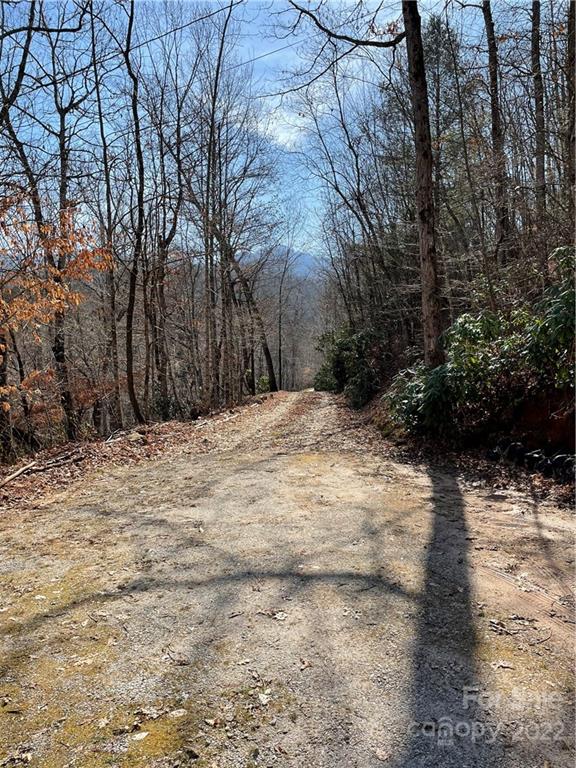 546 Battle Branch Road Franklin, NC 28734 - Photo 36 of 37 Gallery Image 36