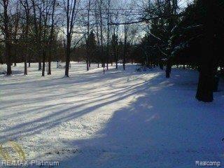 6136 Brophy Road Howell, MI 48855 - Photo 17 of 25 road view