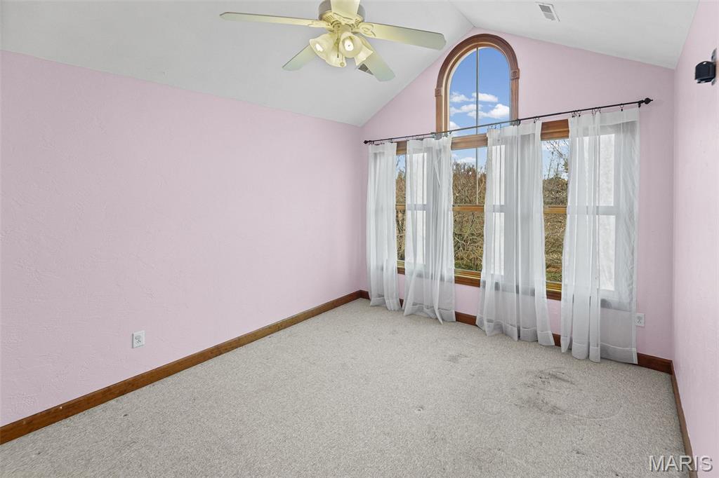 2304 North 1st Street Fayetteville, IL 62258 - Photo 48 of 67