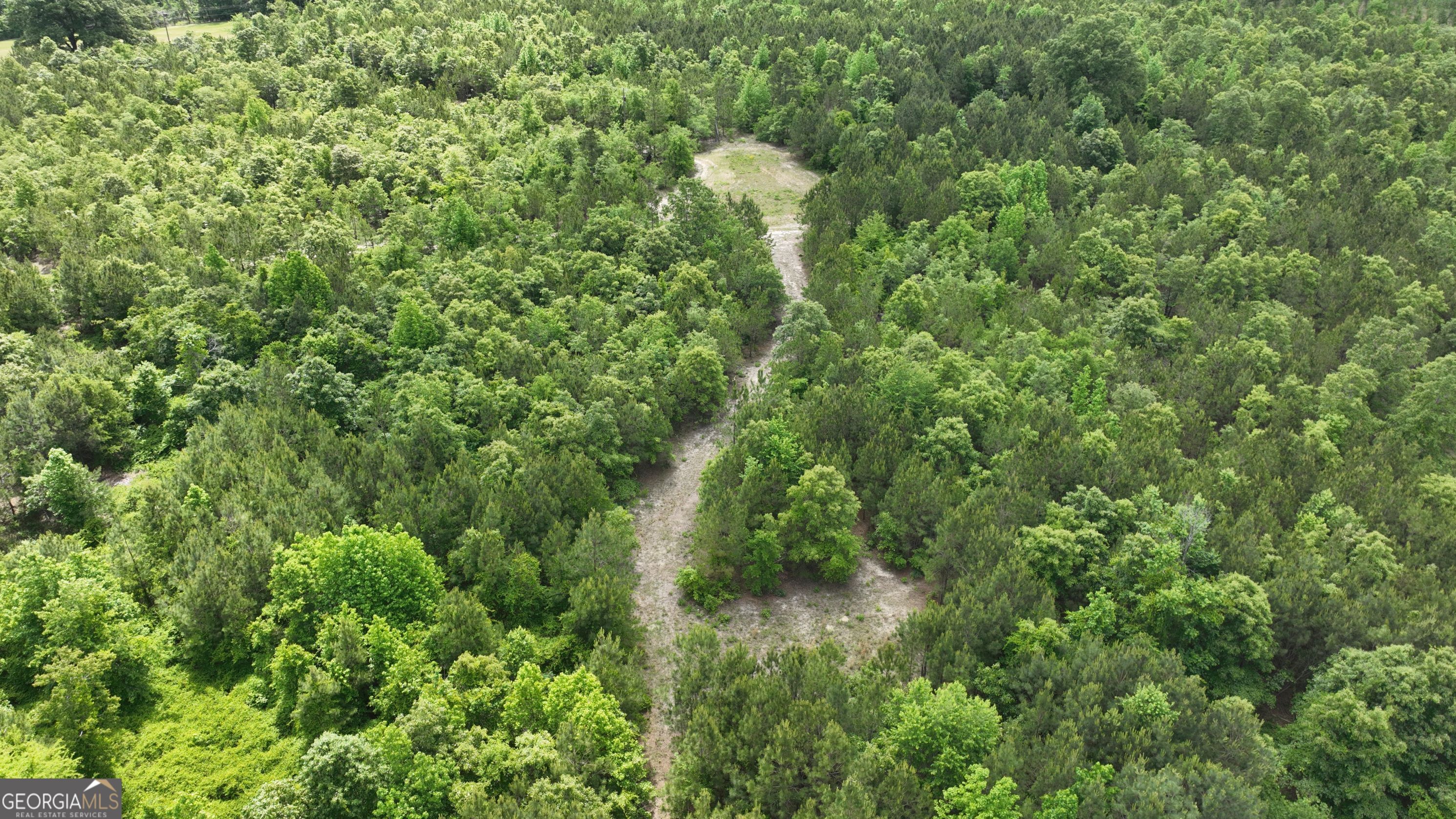 0 North Indian Trail Road Sandersville, GA 31082 - Photo 2 of 6 a view of a forest with a tree