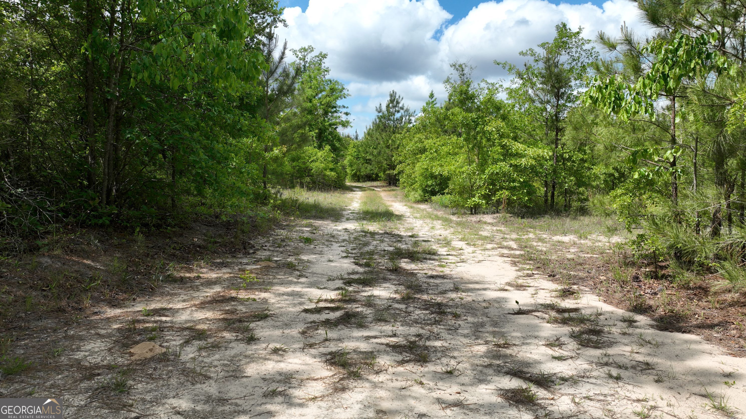 0 North Indian Trail Road Sandersville, GA 31082 - Photo 4 of 6 a view of a yard with plants and large trees