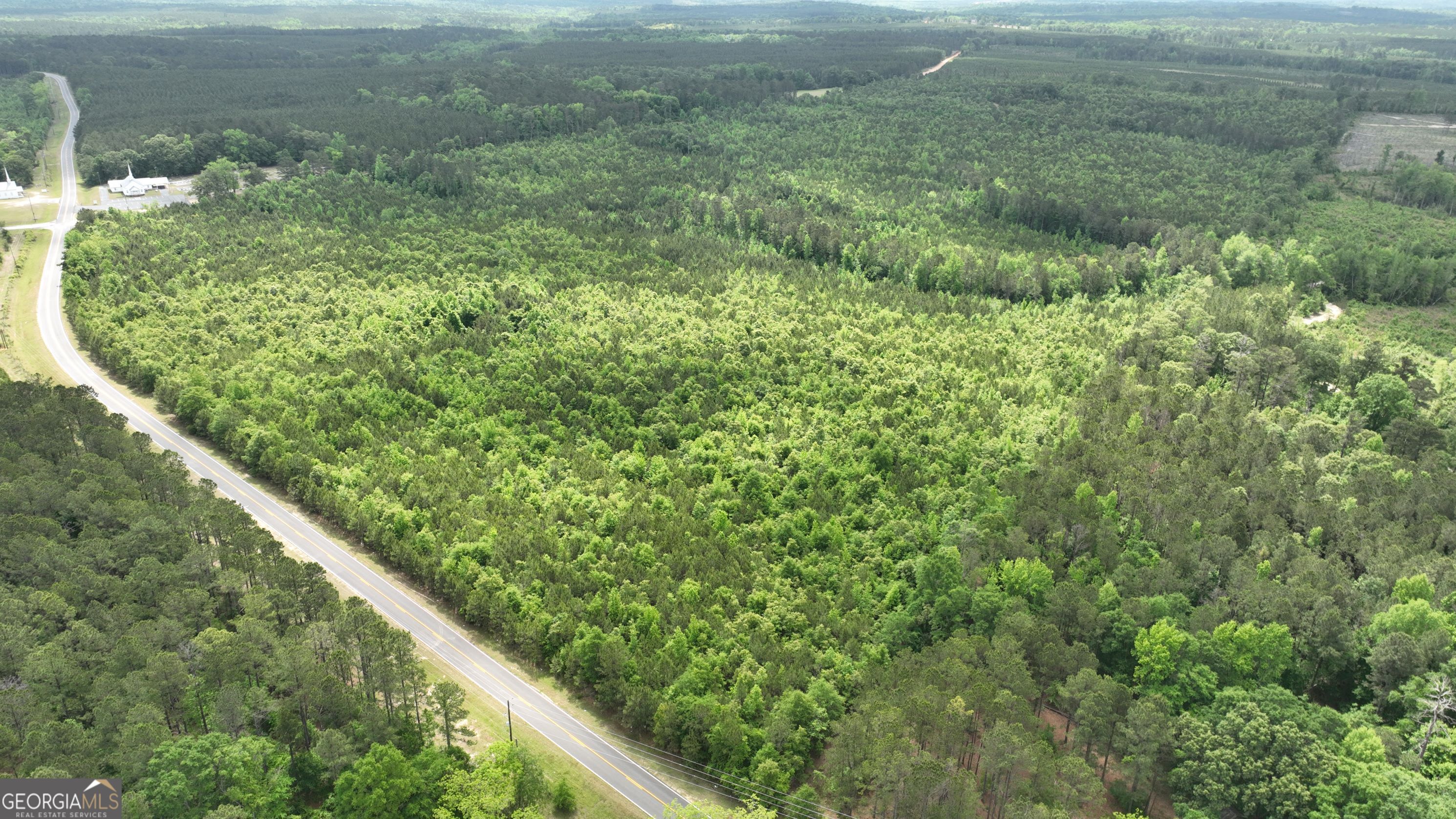 0 North Indian Trail Road Sandersville, GA 31082 - Photo 5 of 6 a view of a yard with plants