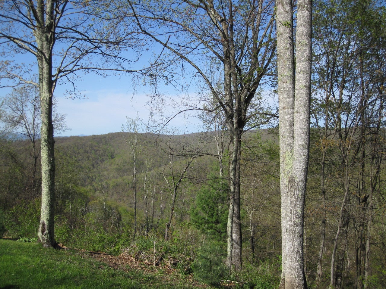 1 Cape Reed Road Renick, WV 24966 - Photo 12 of 16 Mountain Views