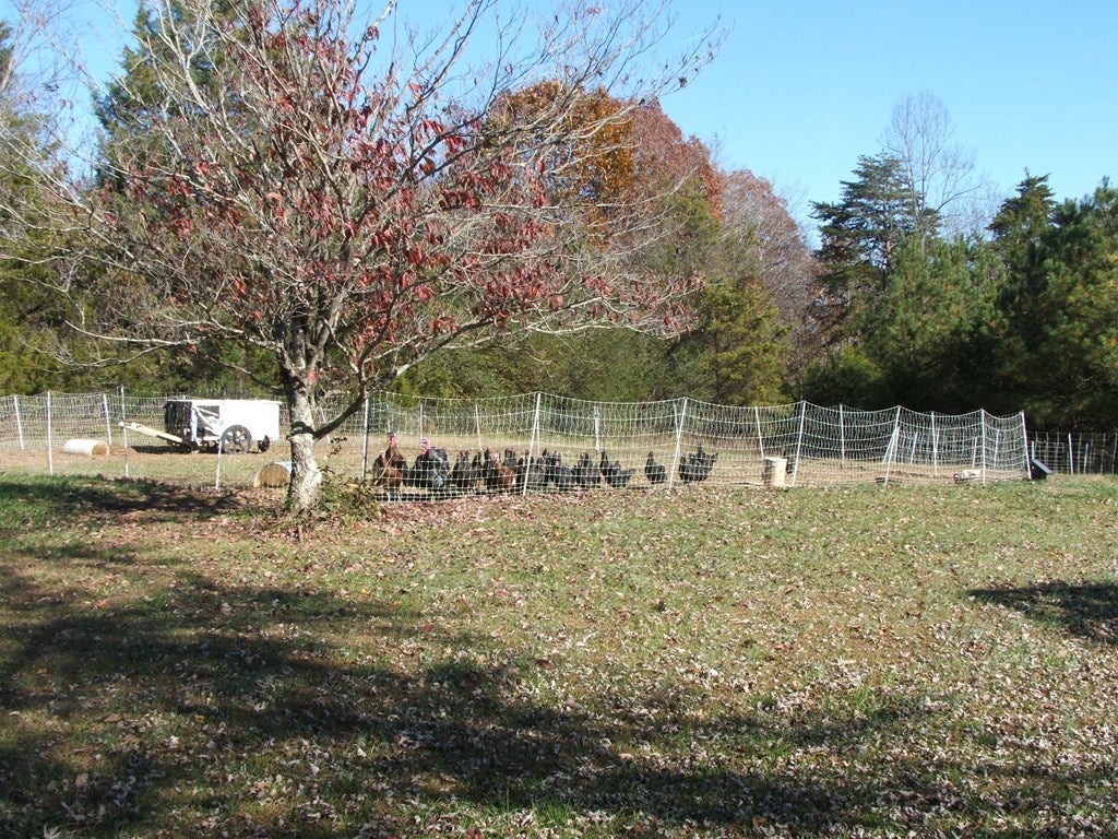 974 Meherrin Road Meherrin, VA 23954 - Photo 28 of 28 Gallery Image 28
