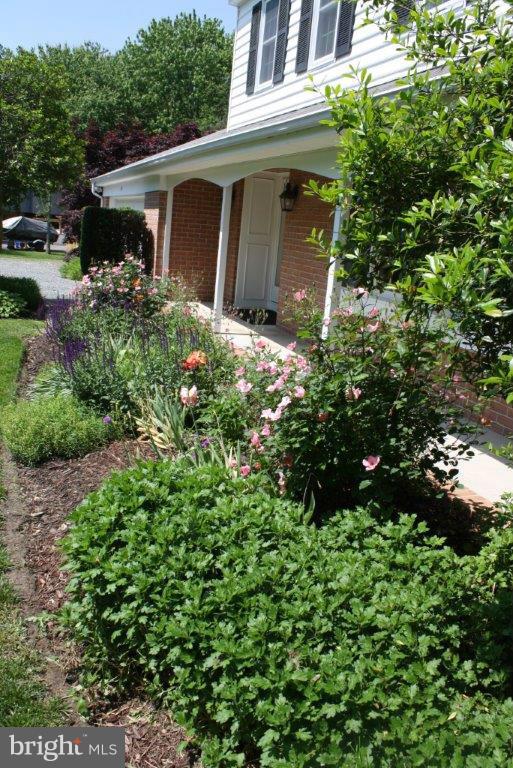 603 Windmill Road Easton, MD 21601 - Photo 3 of 12 Exterior (General)