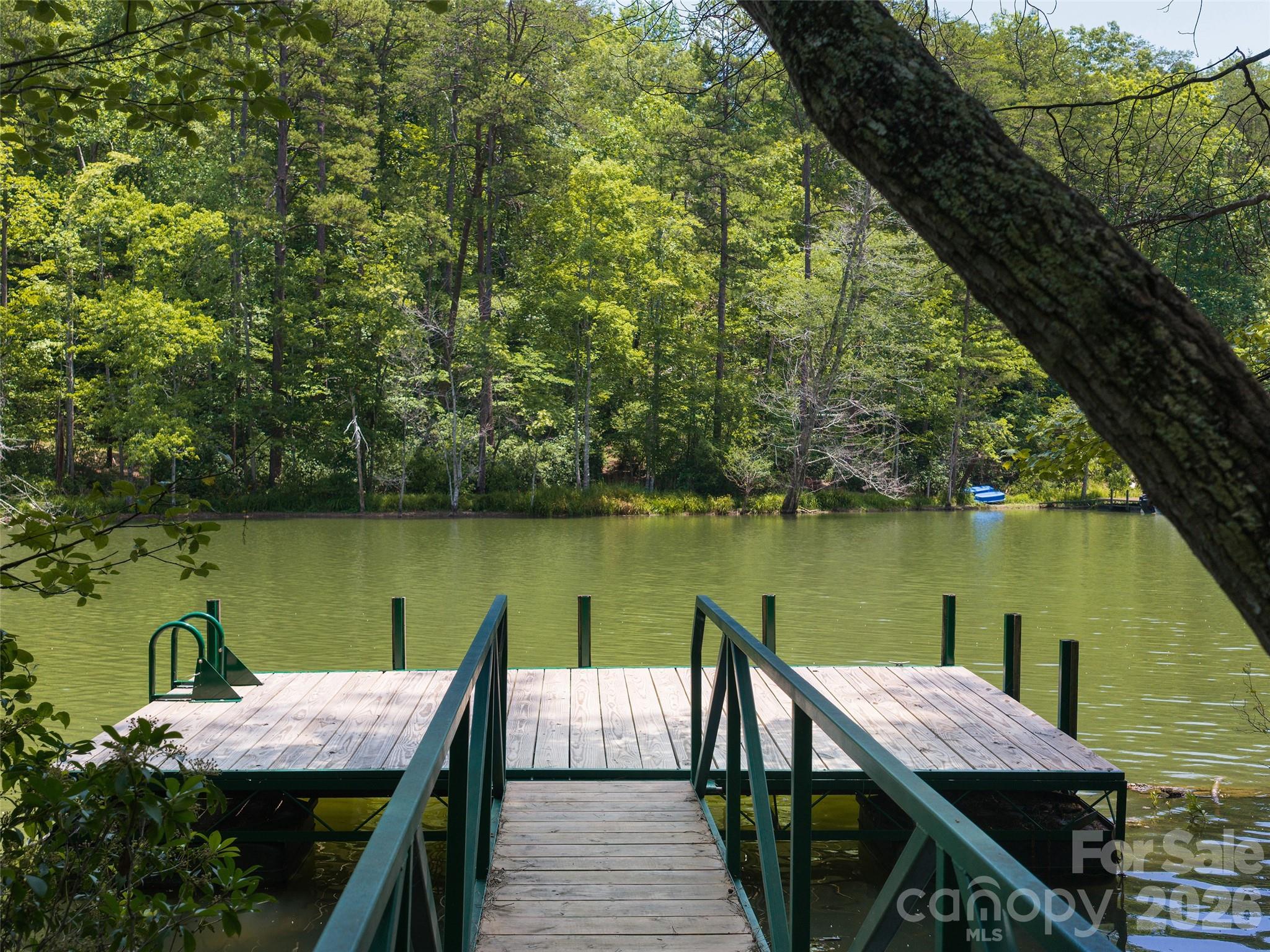 Lot 14 Parkway North Rd Mill Spring, Unit 14 Mill Spring, NC 28756 - Photo 3 of 14