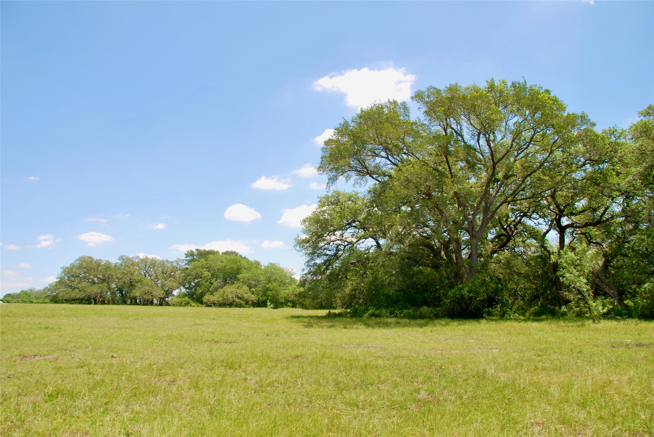 2170 Langdon Road Weimar, TX 78962 - Photo 4 of 31