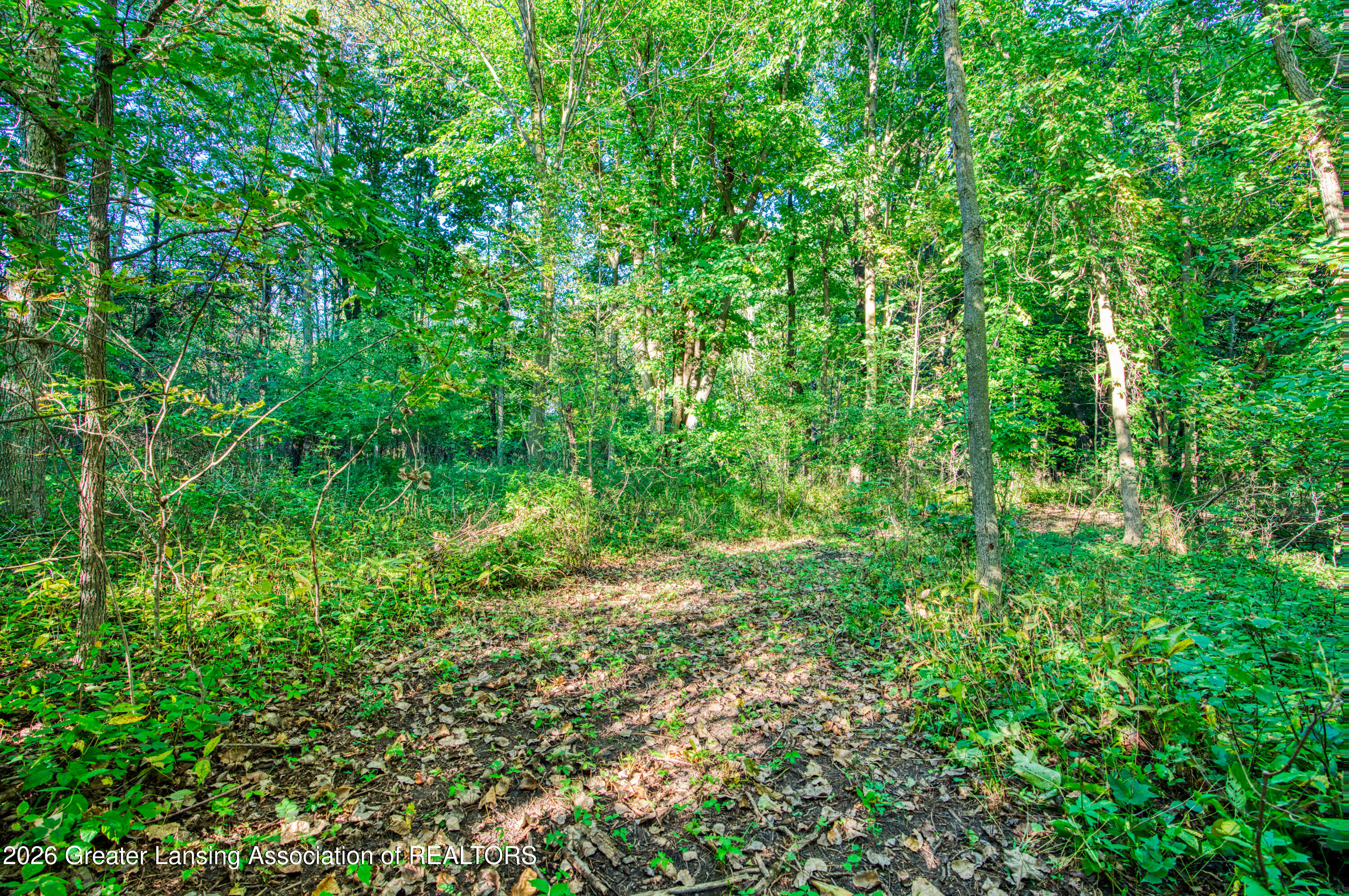 1620 North Michigan Road Eaton Rapids, MI 48827 - Photo 53 of 66 DSC01664_9