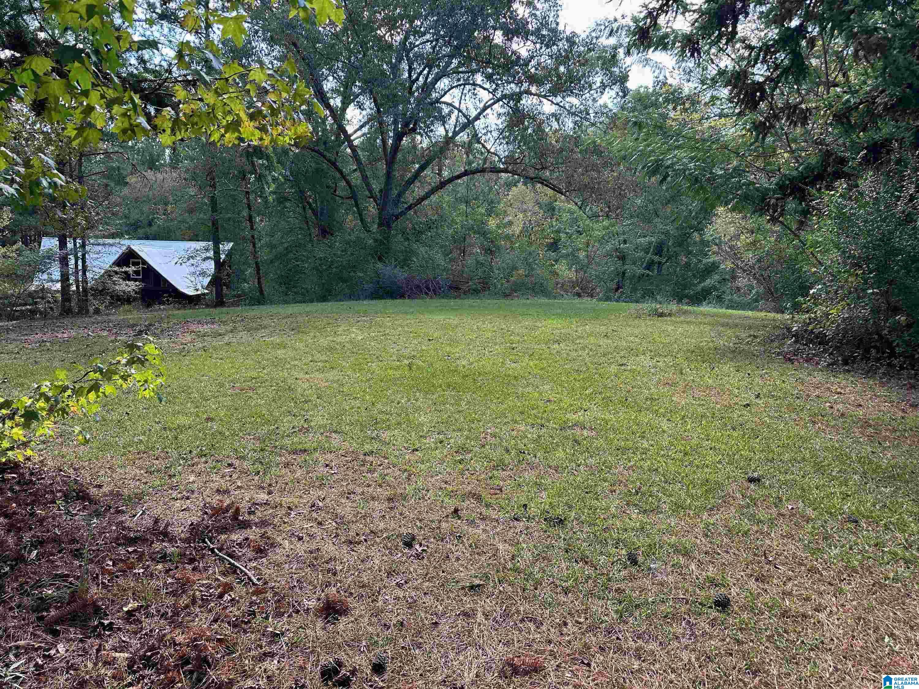 9204 Marsh Mountain Road Pinson, AL 35126 - Photo 34 of 56
