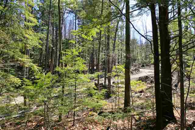 0 Howe Road Lake Luzerne, NY 12846 - Photo 8 of 9 Photo 8