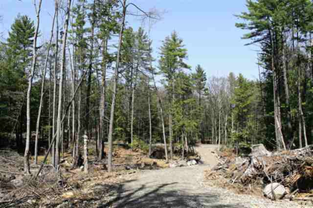0 Howe Road Lake Luzerne, NY 12846 - Photo 9 of 9 Photo 9