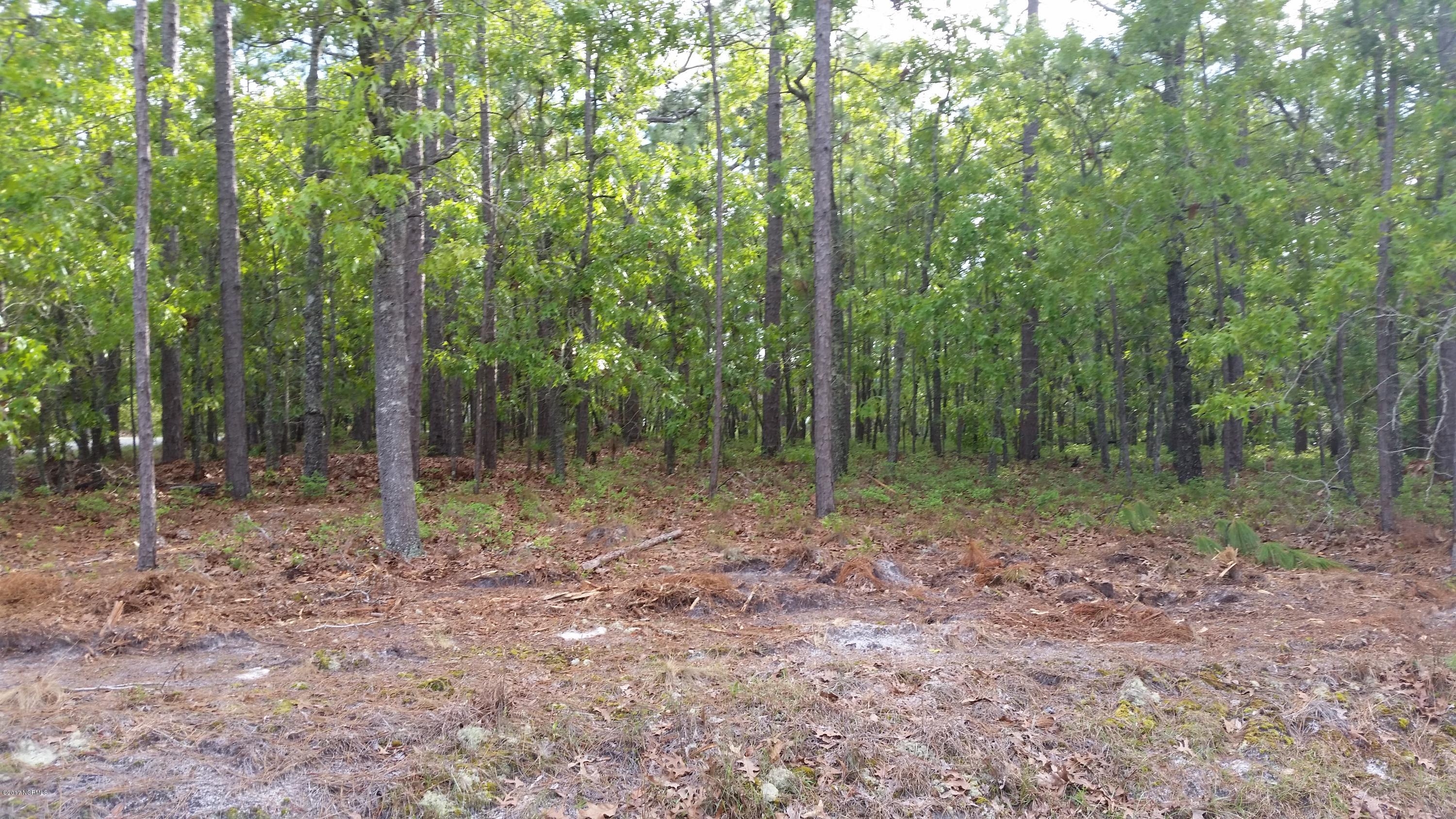 L-588 Spruce Road Southport, NC 28461 - Photo 1 of 6 Lot 588
