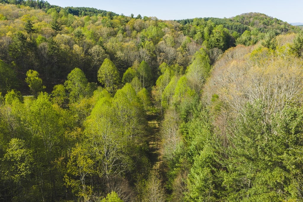 Tbd Black Ridge Road Southwest Floyd, VA 24091 - Photo 11 of 38 Gallery Image 11
