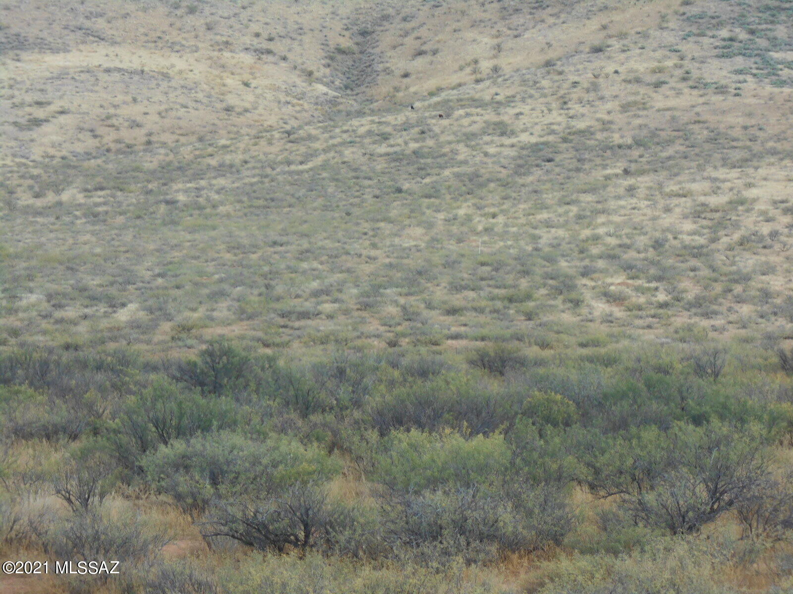 14466 Simons Road, Unit 1 Pearce, AZ 85625 - Photo 31 of 47