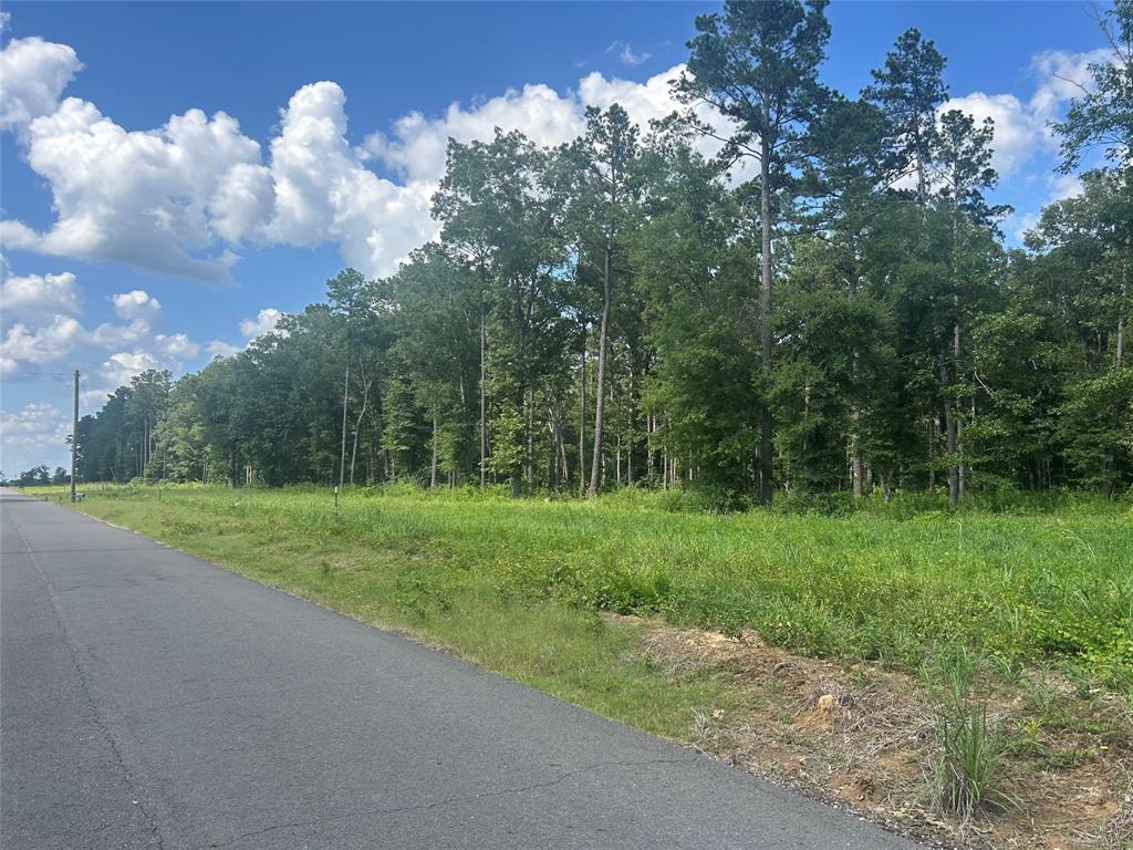 Lot 14 Pine Grove Road Stonewall, LA 71078 - Photo 3 of 3 a view of a grassy field with trees in the background