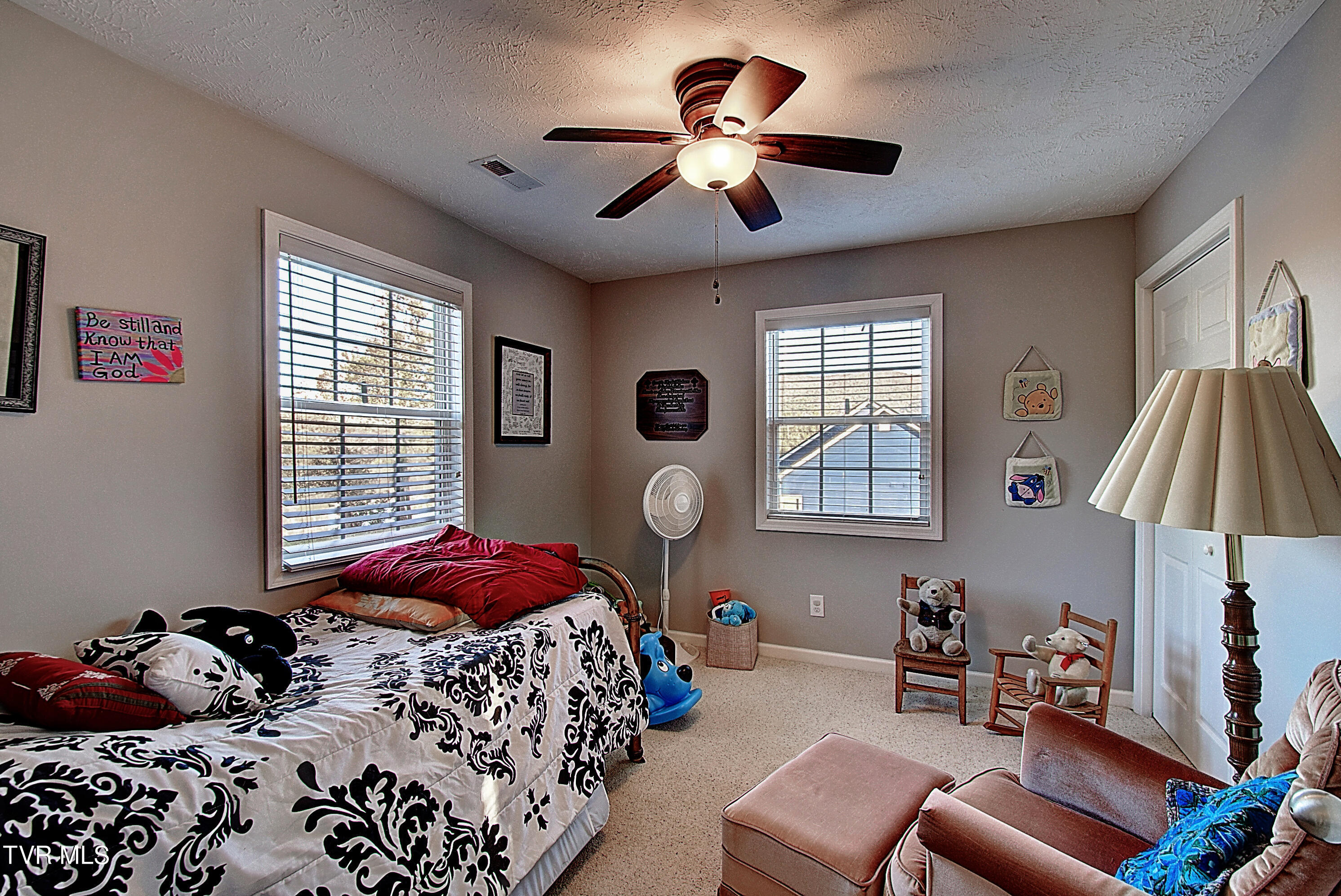 221 Blue Springs Road Elizabethton, TN 37643 - Photo 27 of 47 DSC_0370And8more