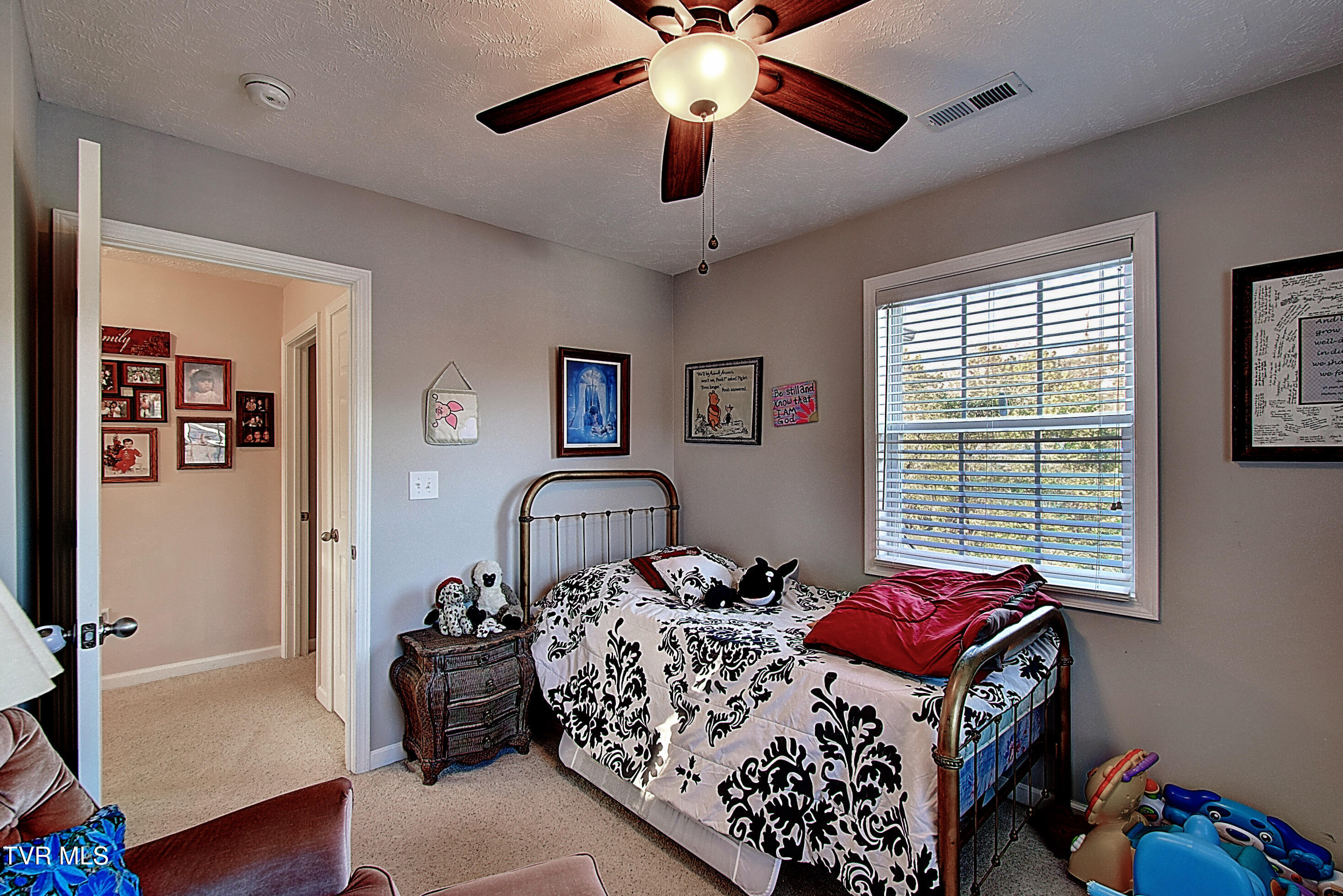221 Blue Springs Road Elizabethton, TN 37643 - Photo 28 of 47 DSC_0397And8more