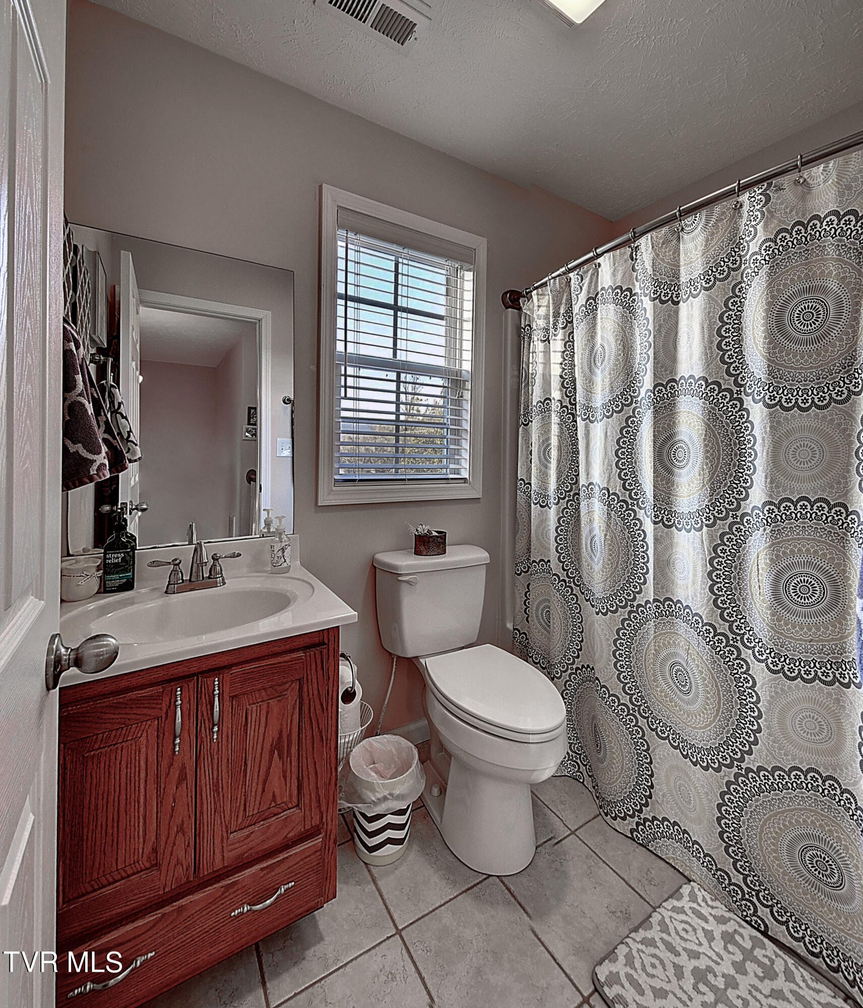 221 Blue Springs Road Elizabethton, TN 37643 - Photo 29 of 47 DSC_0415And8more_stitch