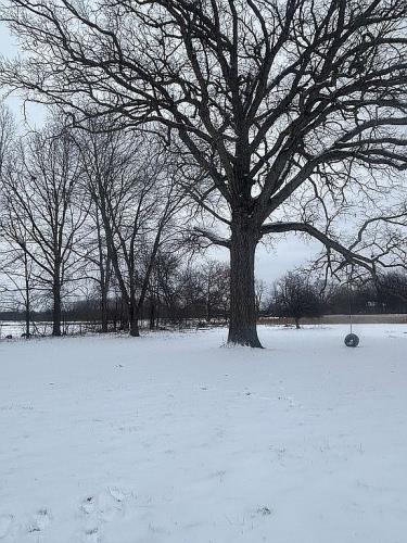 5246 North Nicholson Road Fowlerville, MI 48836 - Photo 22 of 24