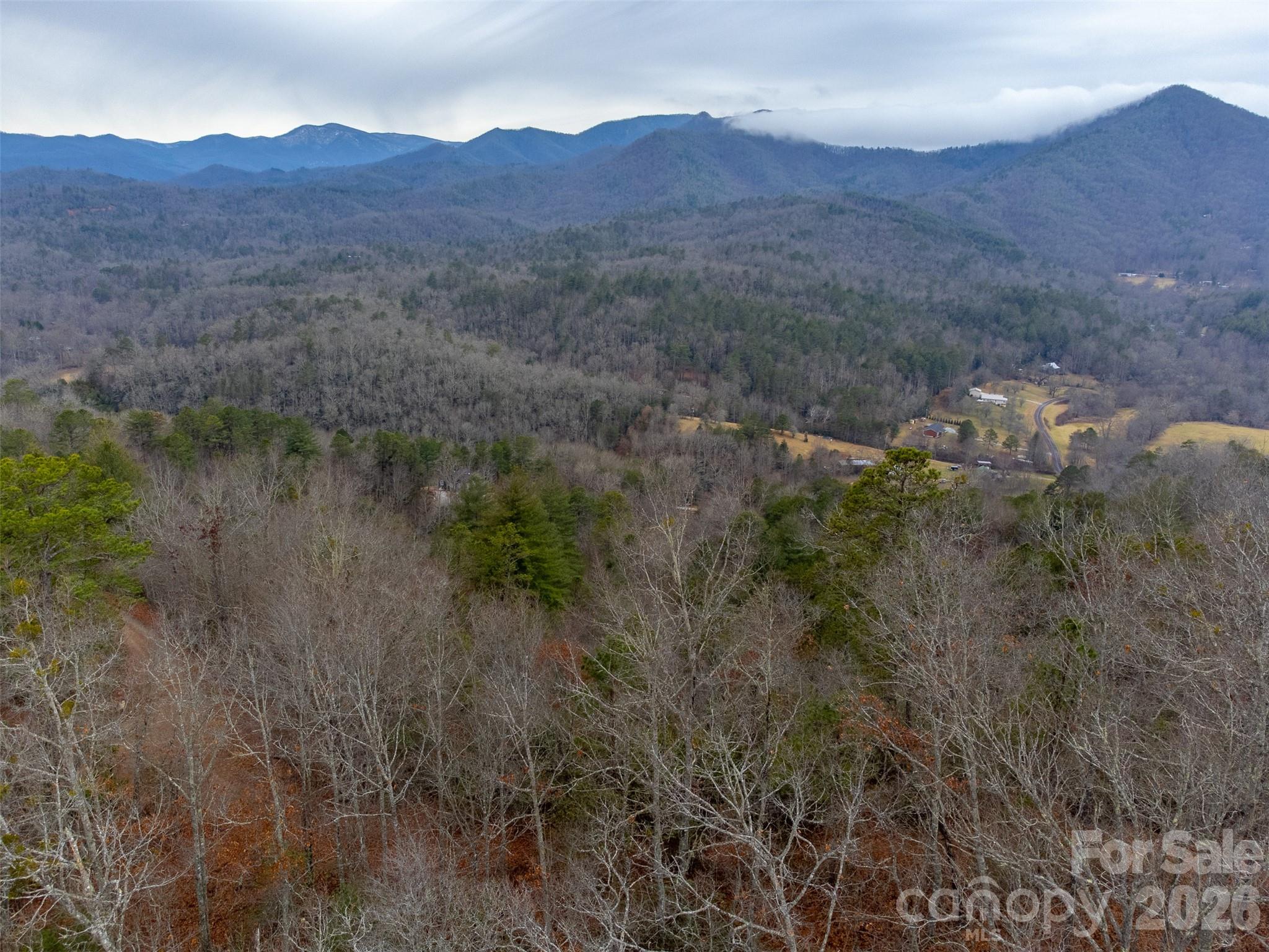 9999 Lower Burningtown Road Franklin, NC 28734 - Photo 11 of 26 a view of a lush green forest with mountains in the background
