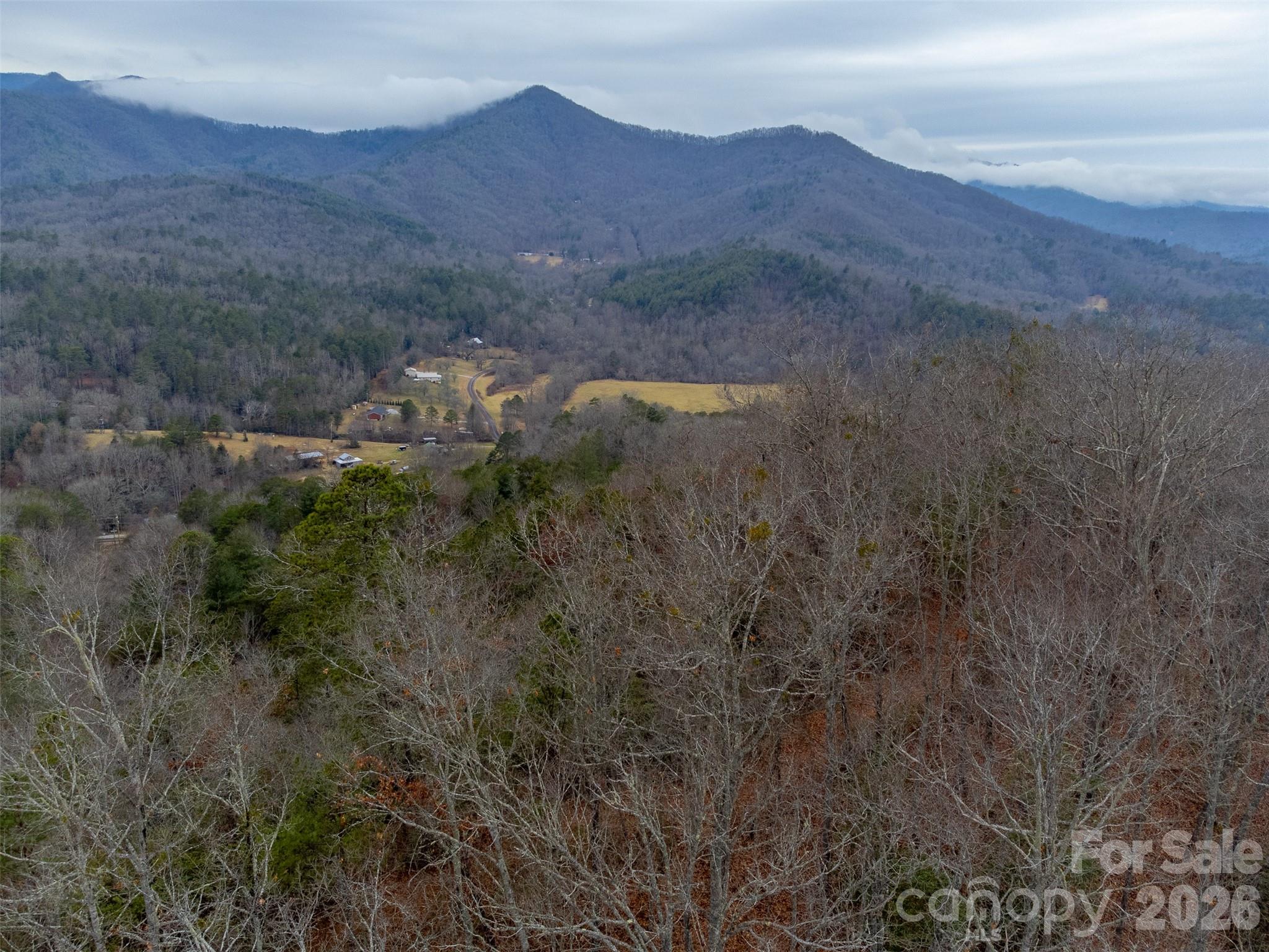 9999 Lower Burningtown Road Franklin, NC 28734 - Photo 12 of 26 a view of a lush green hillside and a building