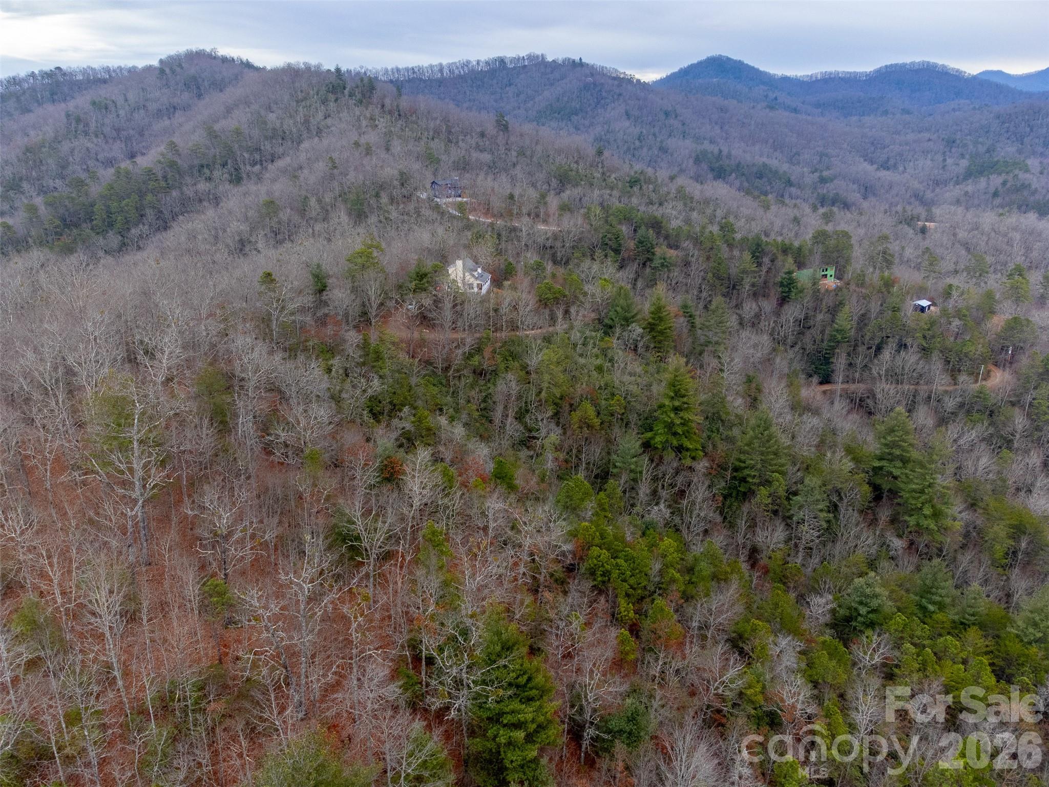 9999 Lower Burningtown Road Franklin, NC 28734 - Photo 13 of 26 a view of a lush green hillside and a houses