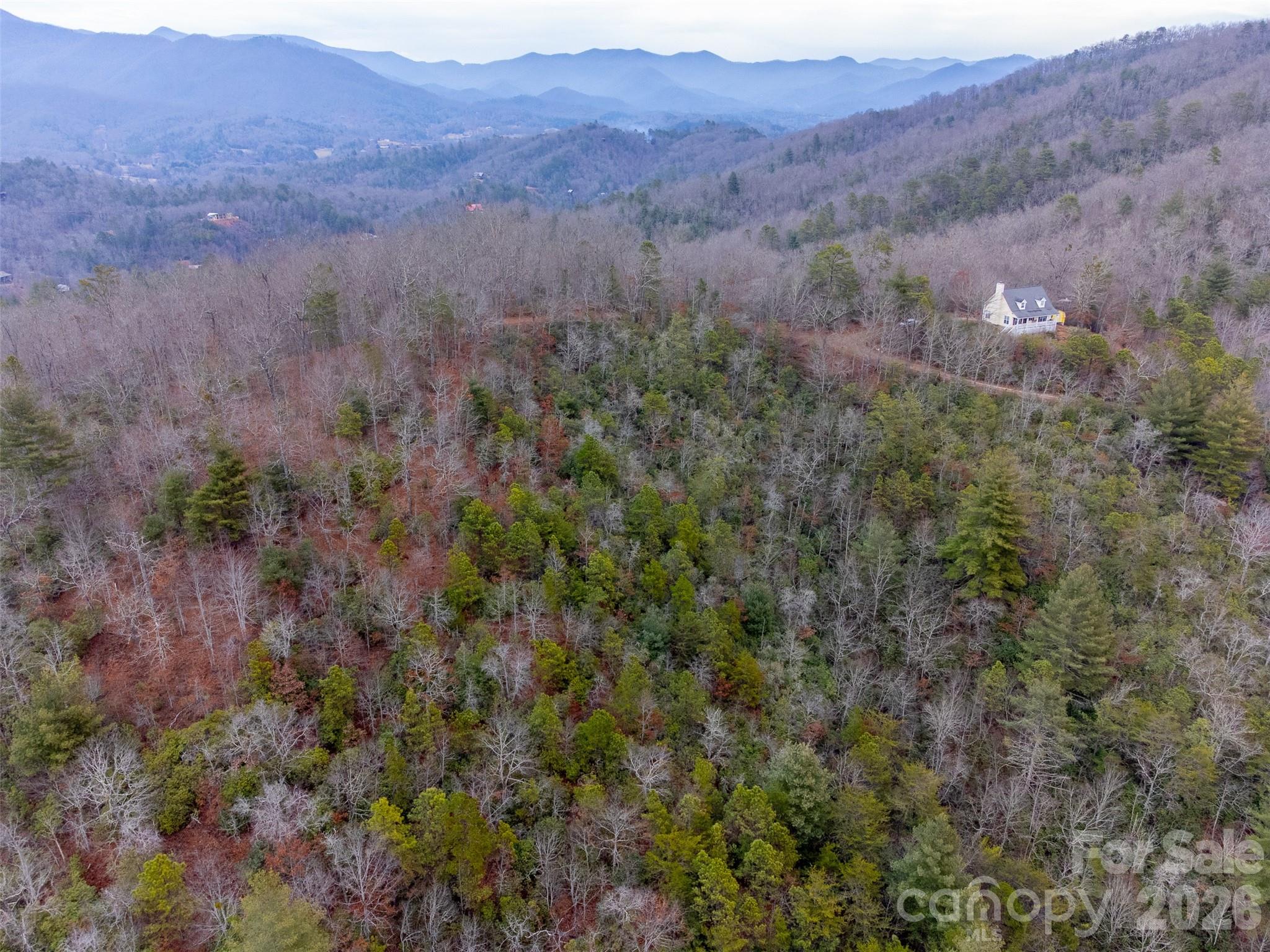 9999 Lower Burningtown Road Franklin, NC 28734 - Photo 15 of 26 a view of a lush green hillside and a houses