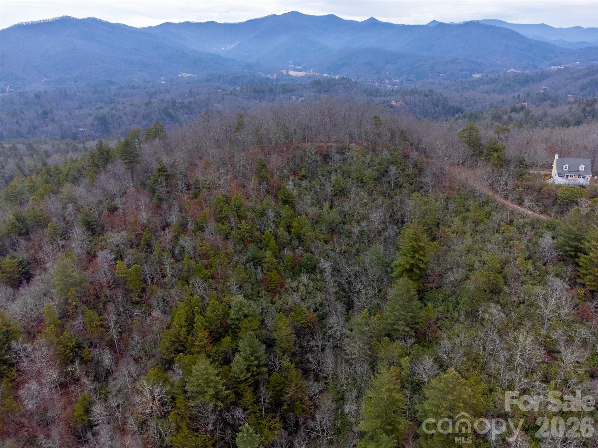 9999 Lower Burningtown Road Franklin, NC 28734 - Photo 16 of 26 a view of a lush green hillside and a houses