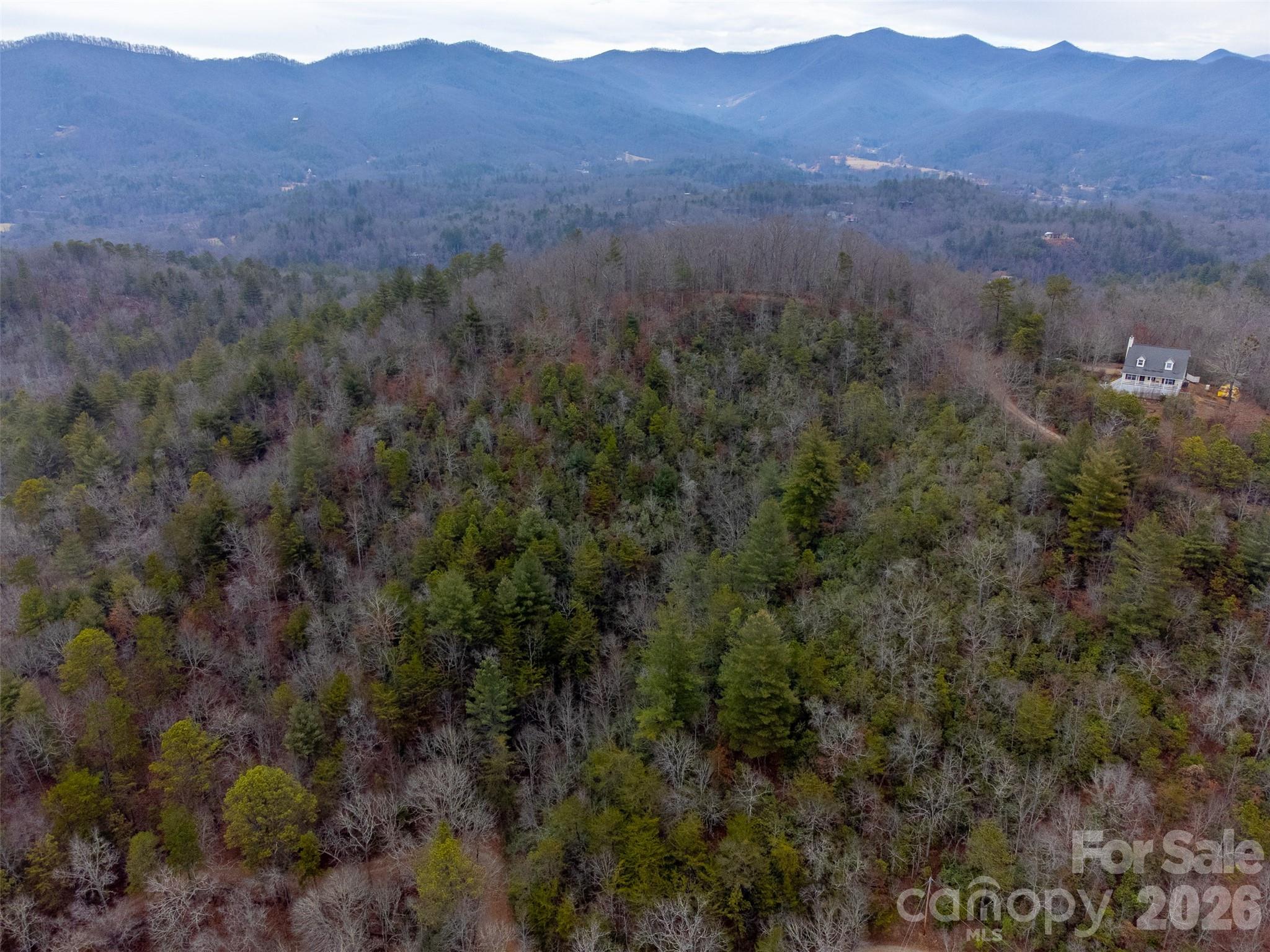 9999 Lower Burningtown Road Franklin, NC 28734 - Photo 17 of 26 a view of a lush green hillside and a houses