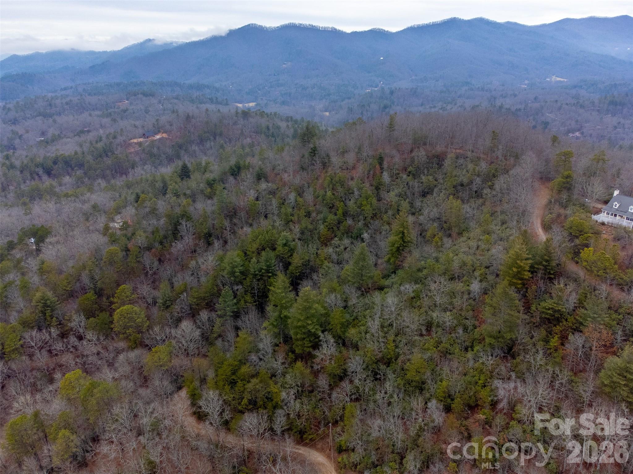 9999 Lower Burningtown Road Franklin, NC 28734 - Photo 18 of 26 a view of a lush green hillside and a houses