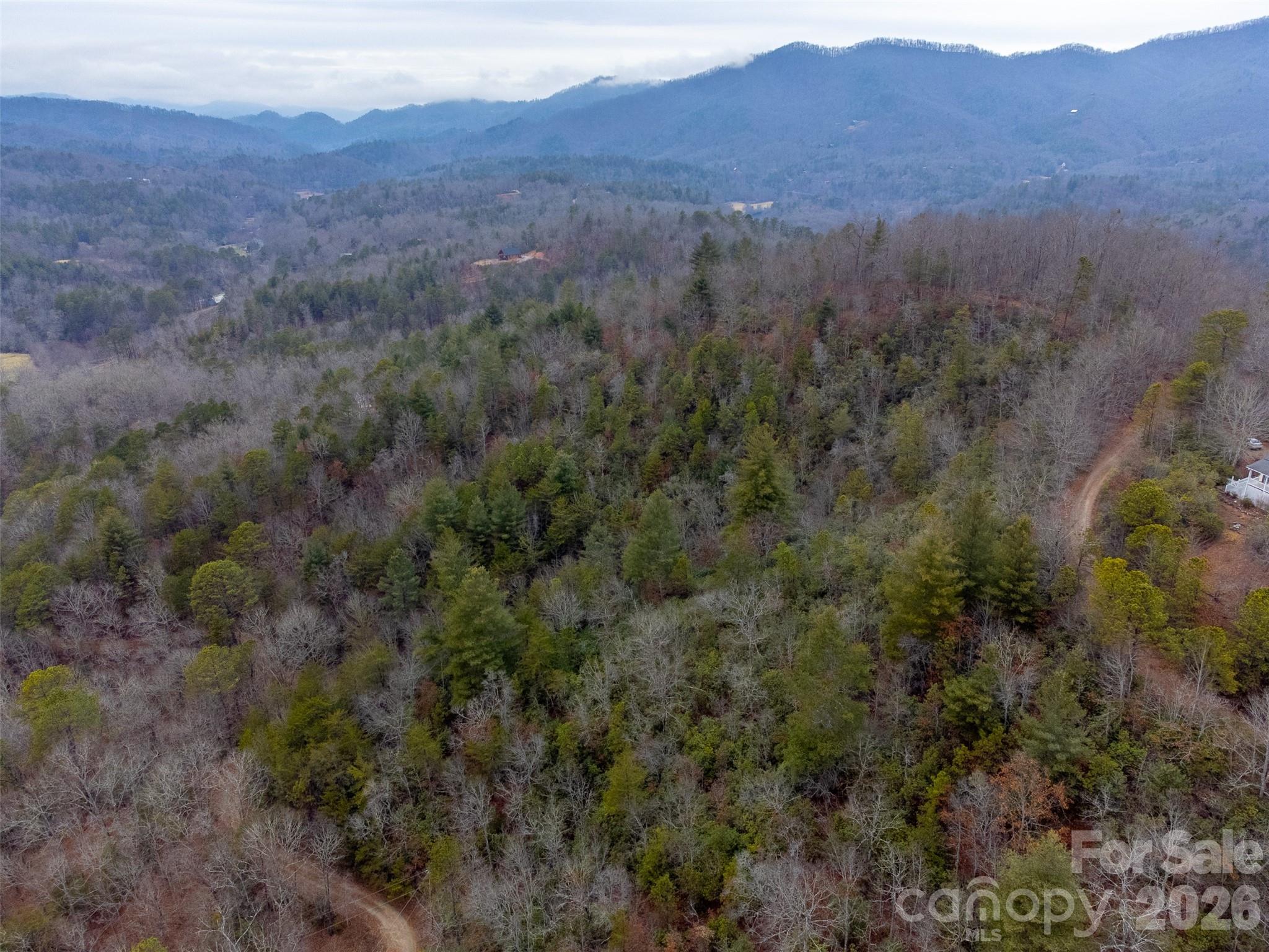 9999 Lower Burningtown Road Franklin, NC 28734 - Photo 19 of 26 a view of a lush green hillside and a houses