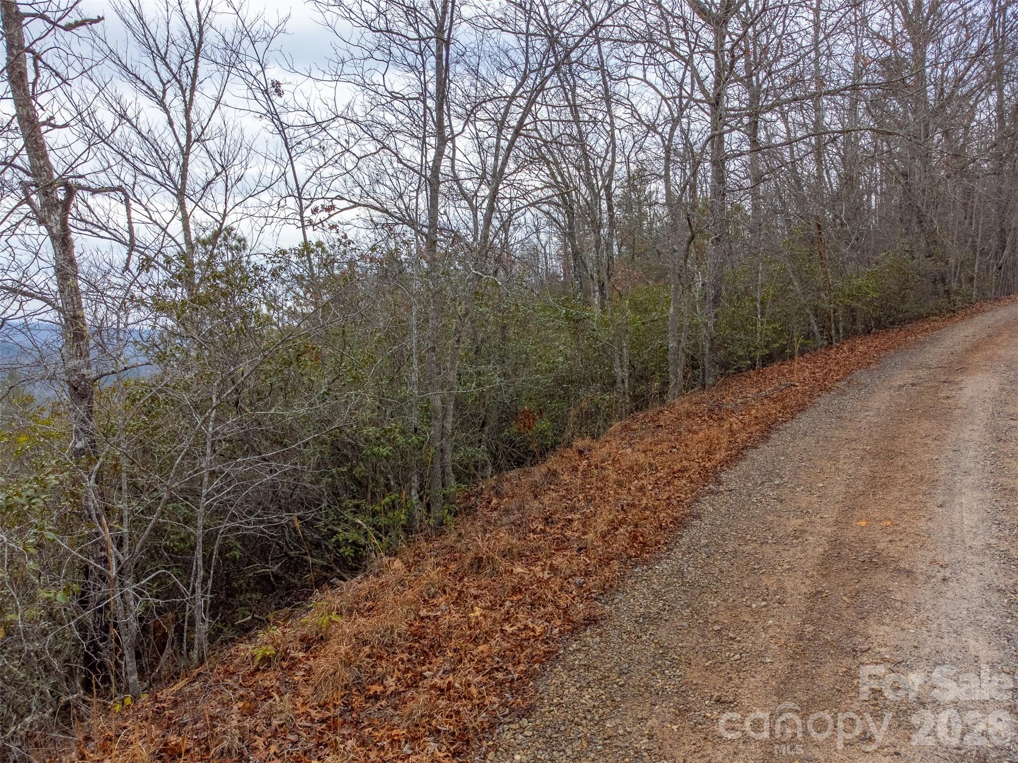 9999 Lower Burningtown Road Franklin, NC 28734 - Photo 2 of 26 a view of a forest that has large trees