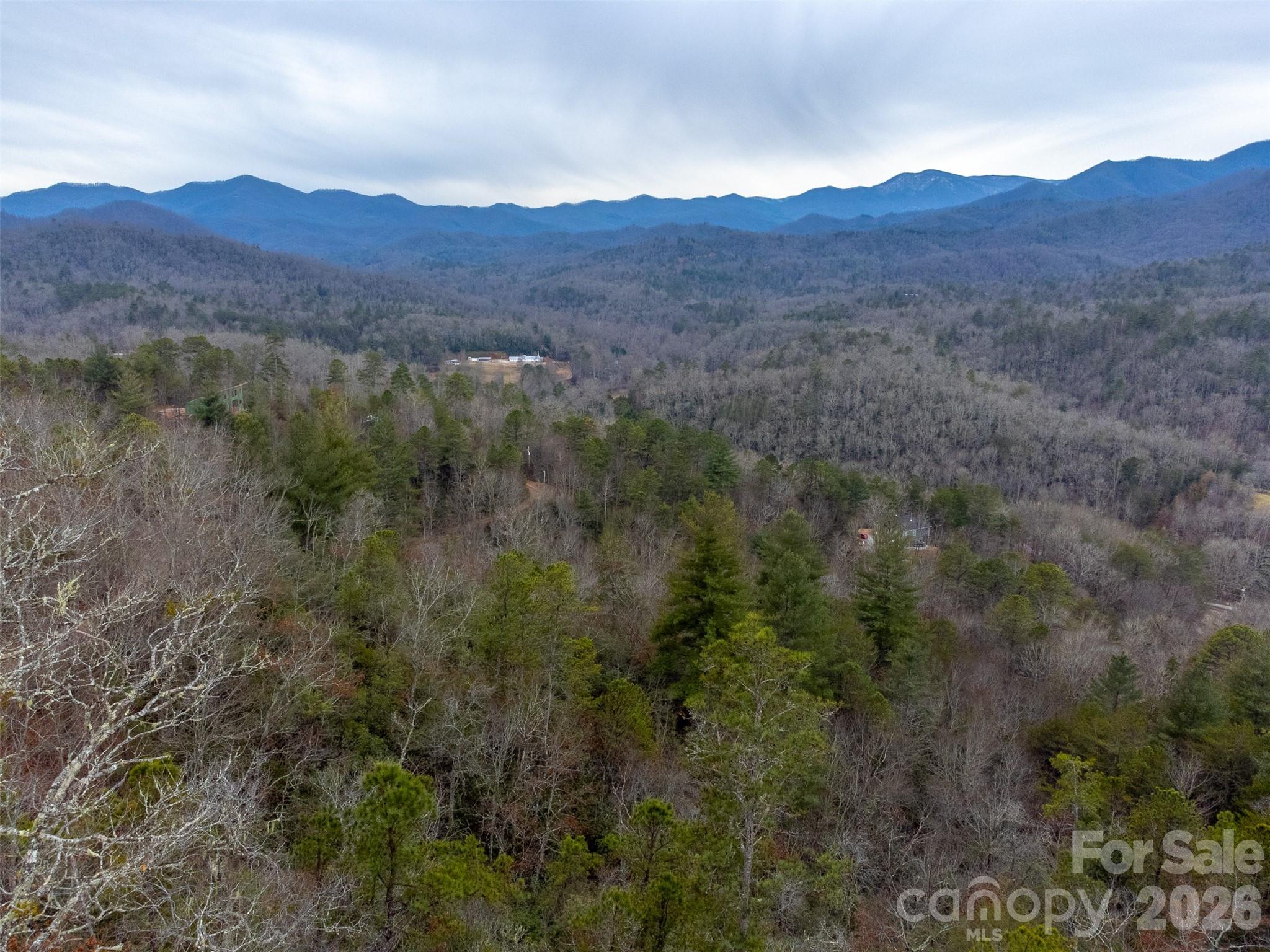 9999 Lower Burningtown Road Franklin, NC 28734 - Photo 22 of 26 a view of mountain and a forest
