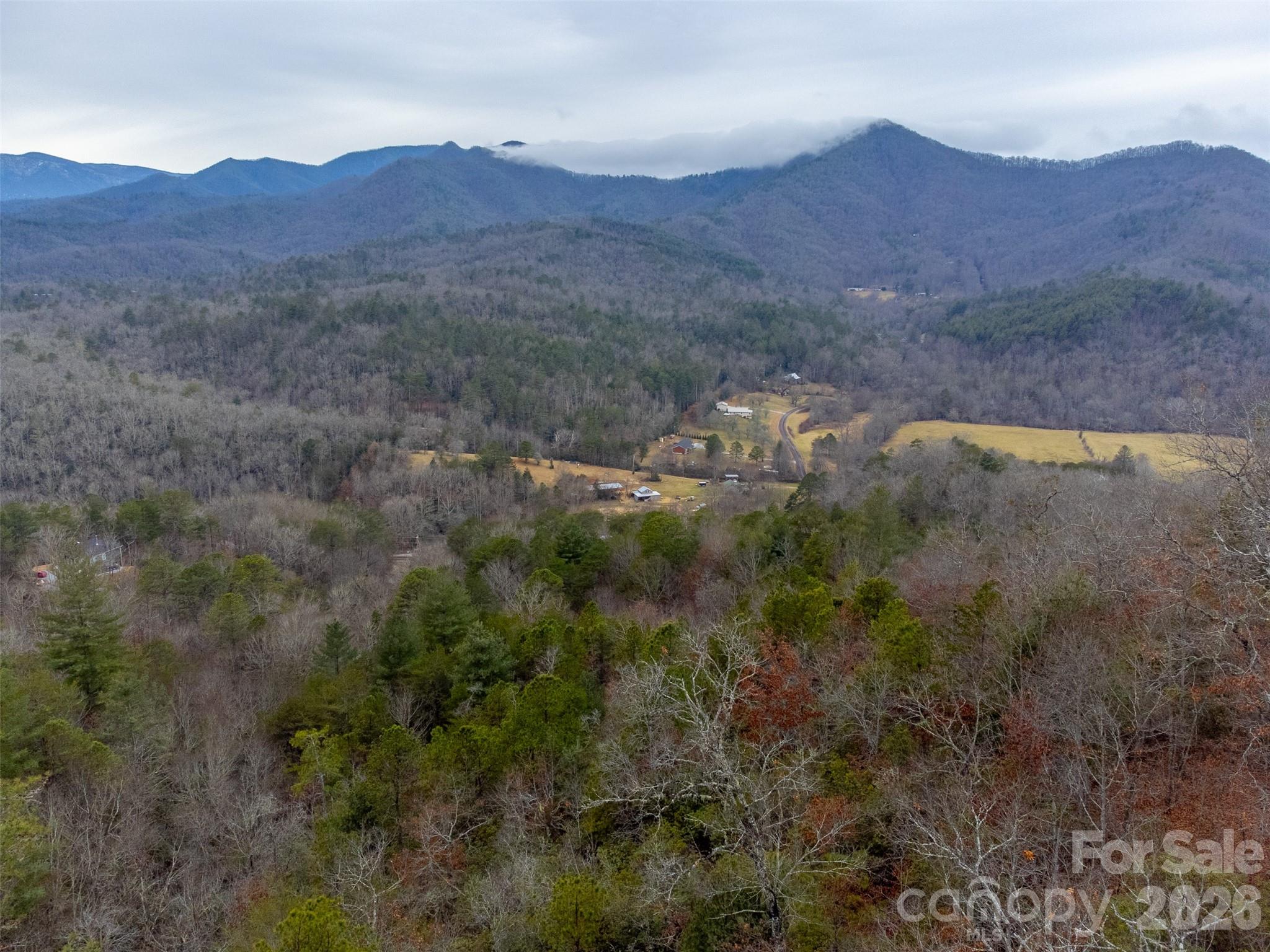 9999 Lower Burningtown Road Franklin, NC 28734 - Photo 23 of 26 a view of a lush green hillside and a houses